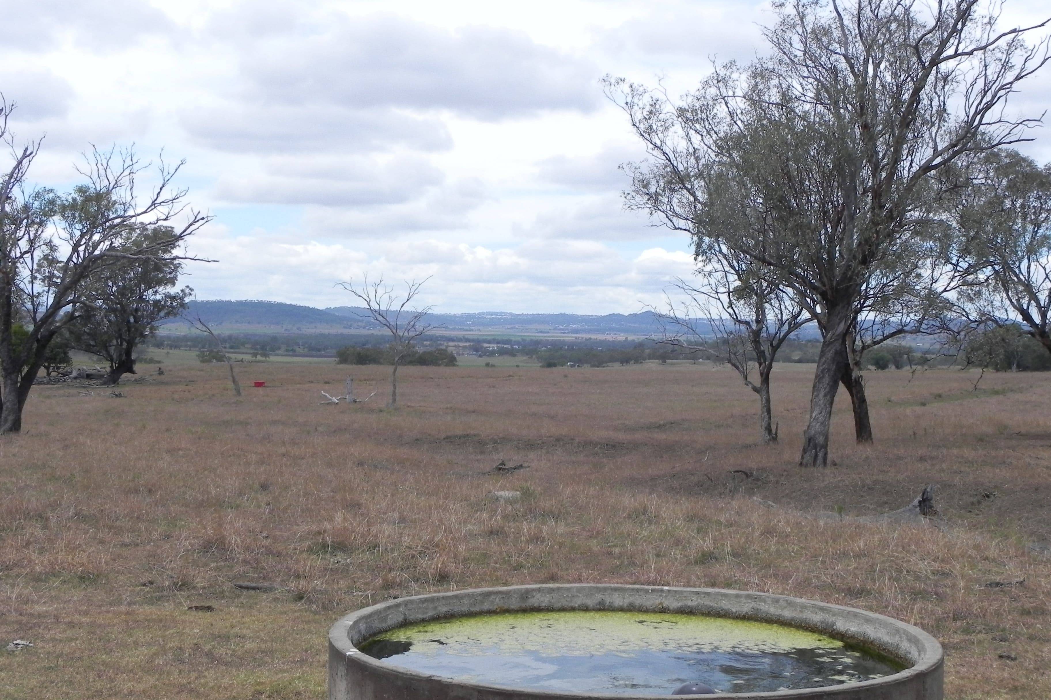 438 Berghofers Road, Athol QLD 4350, Athol - Thumbnail 3