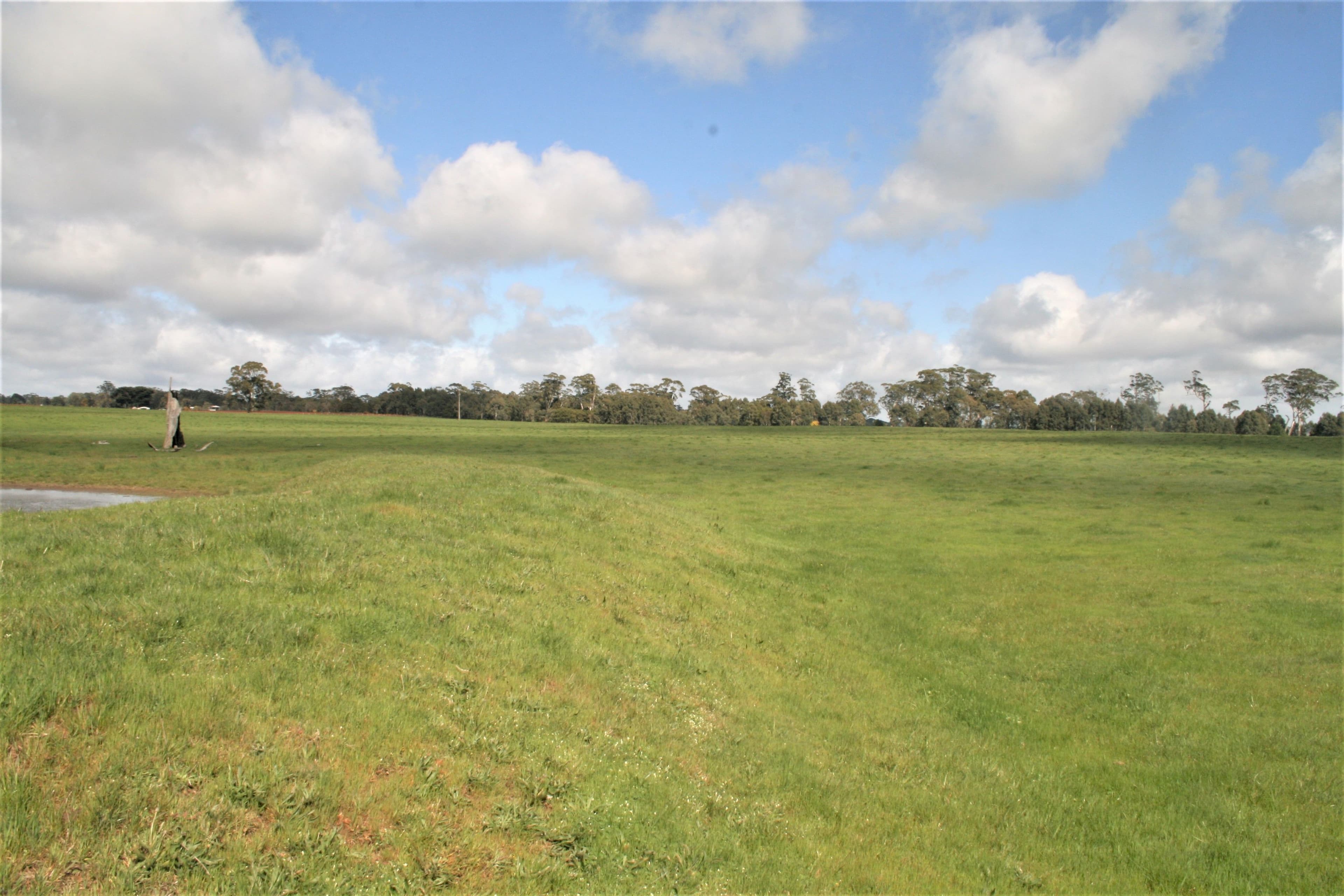 00 Trentham Road, Tylden VIC 3444, Tylden - Thumbnail 7