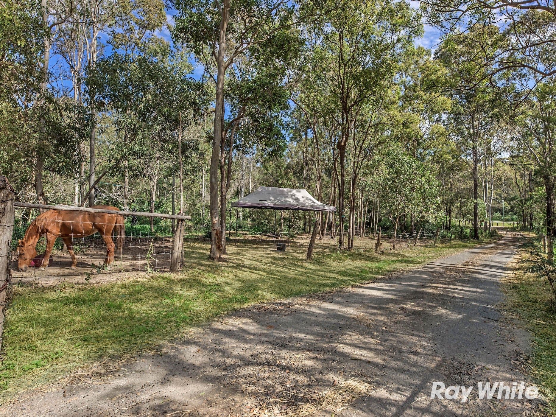 90 Church Street, Goodna QLD 4300, Goodna - Thumbnail 6