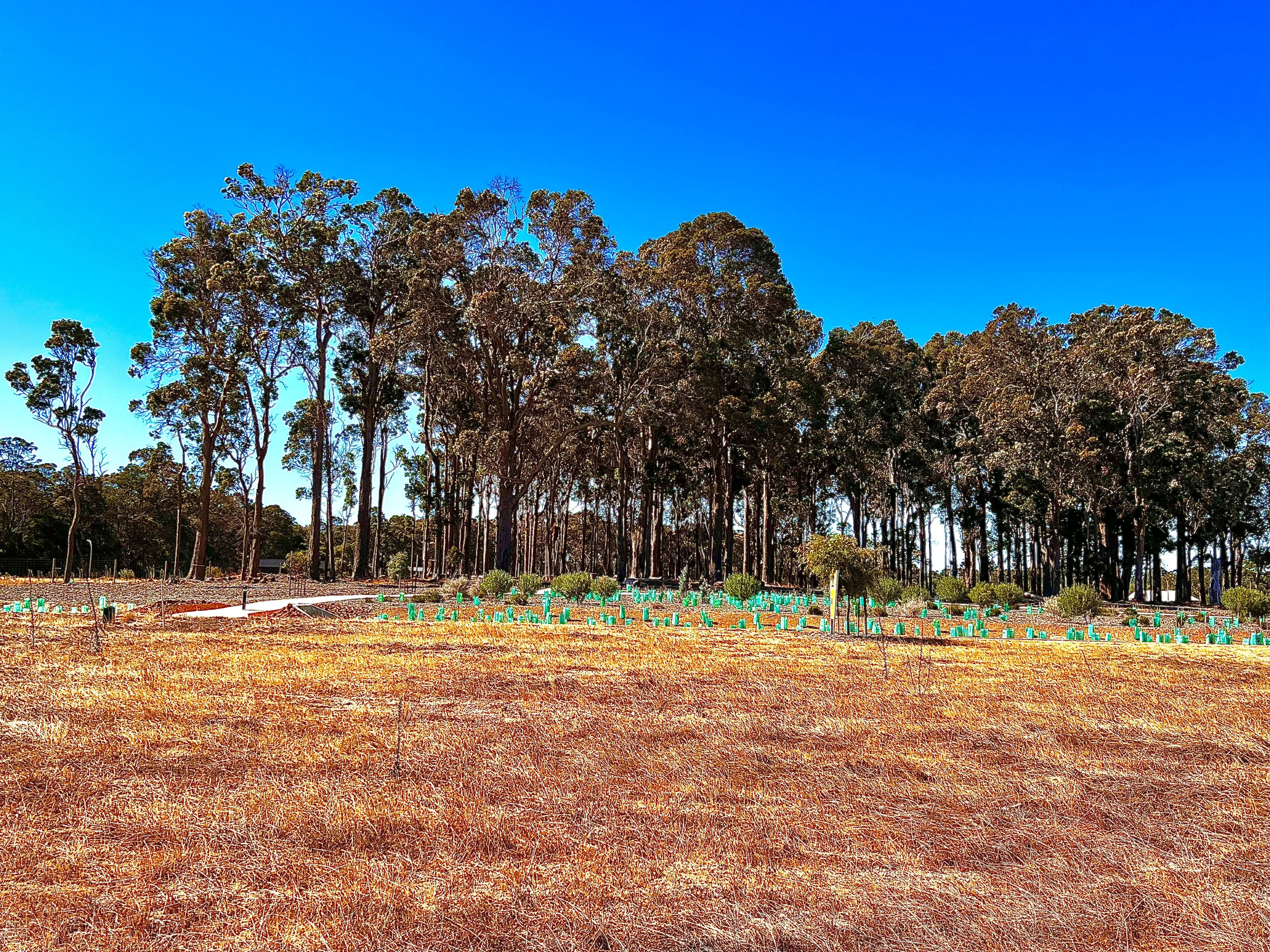 17 Lomandra Way, Witchcliffe WA 6286, Witchcliffe - Thumbnail 3