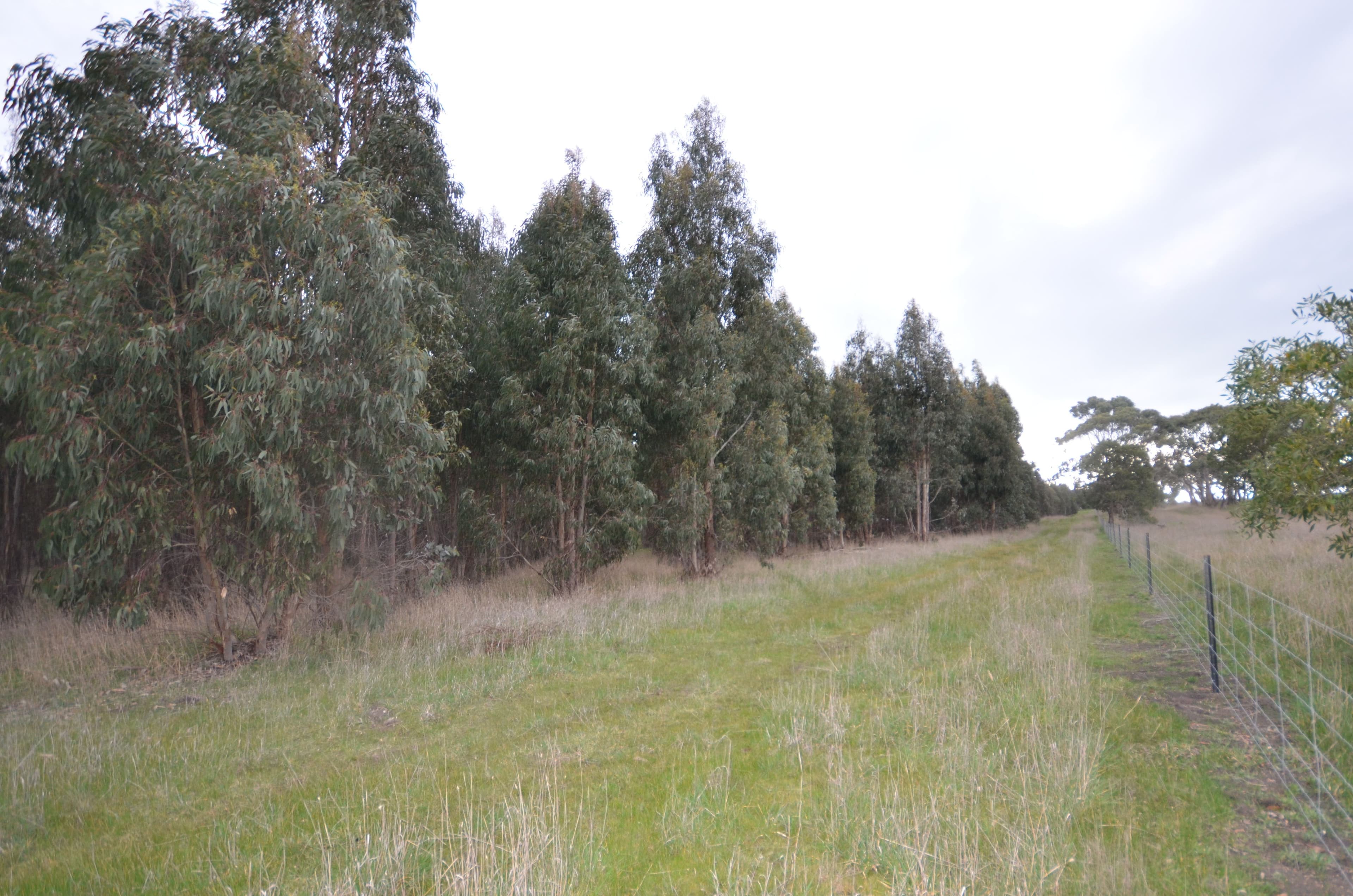 CA 46 Moreton Hill Road, SKIPTON VIC 3361, Skipton - Thumbnail 4