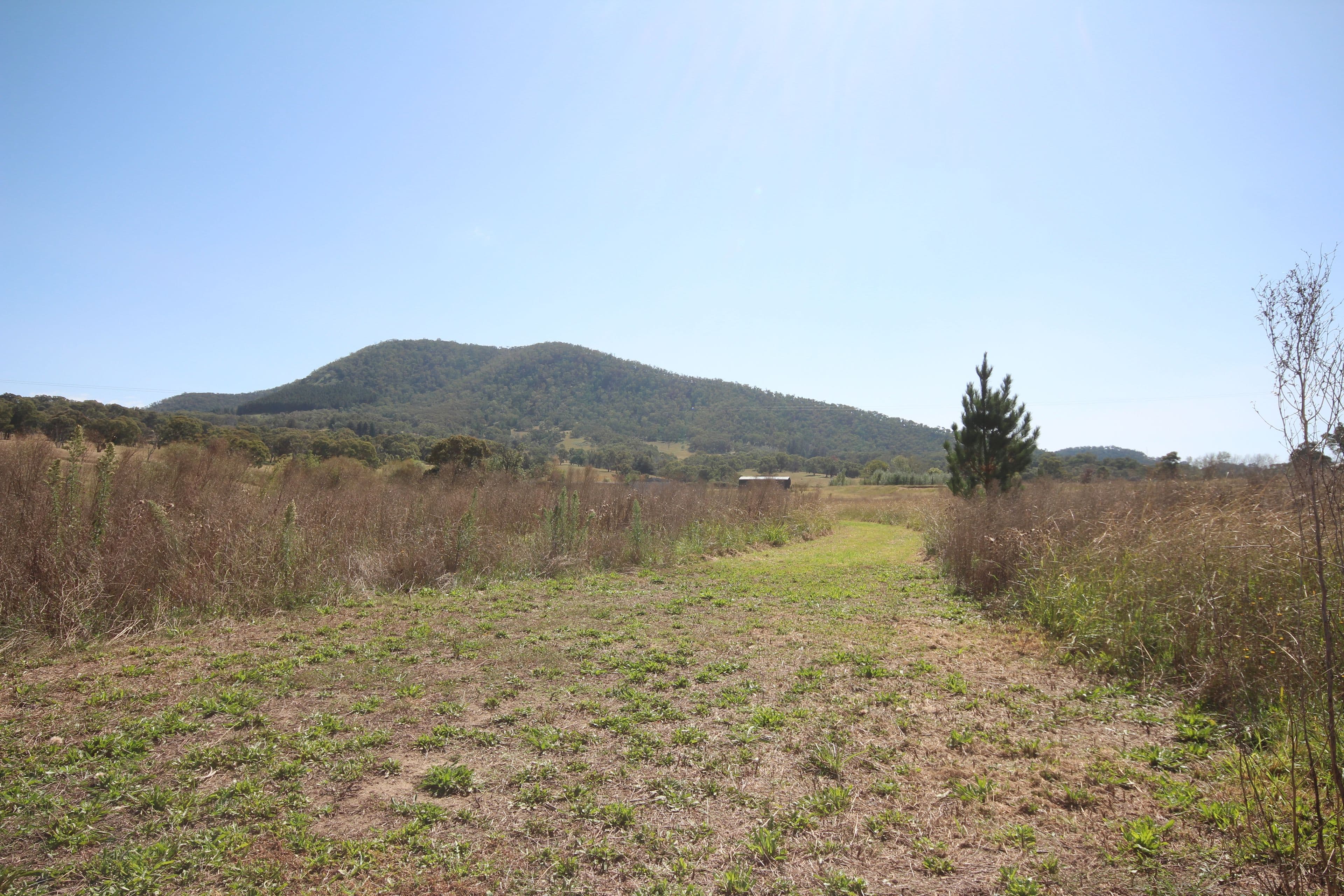 2913 Tarana Road, Tarana NSW 2787, Tarana - Thumbnail 3