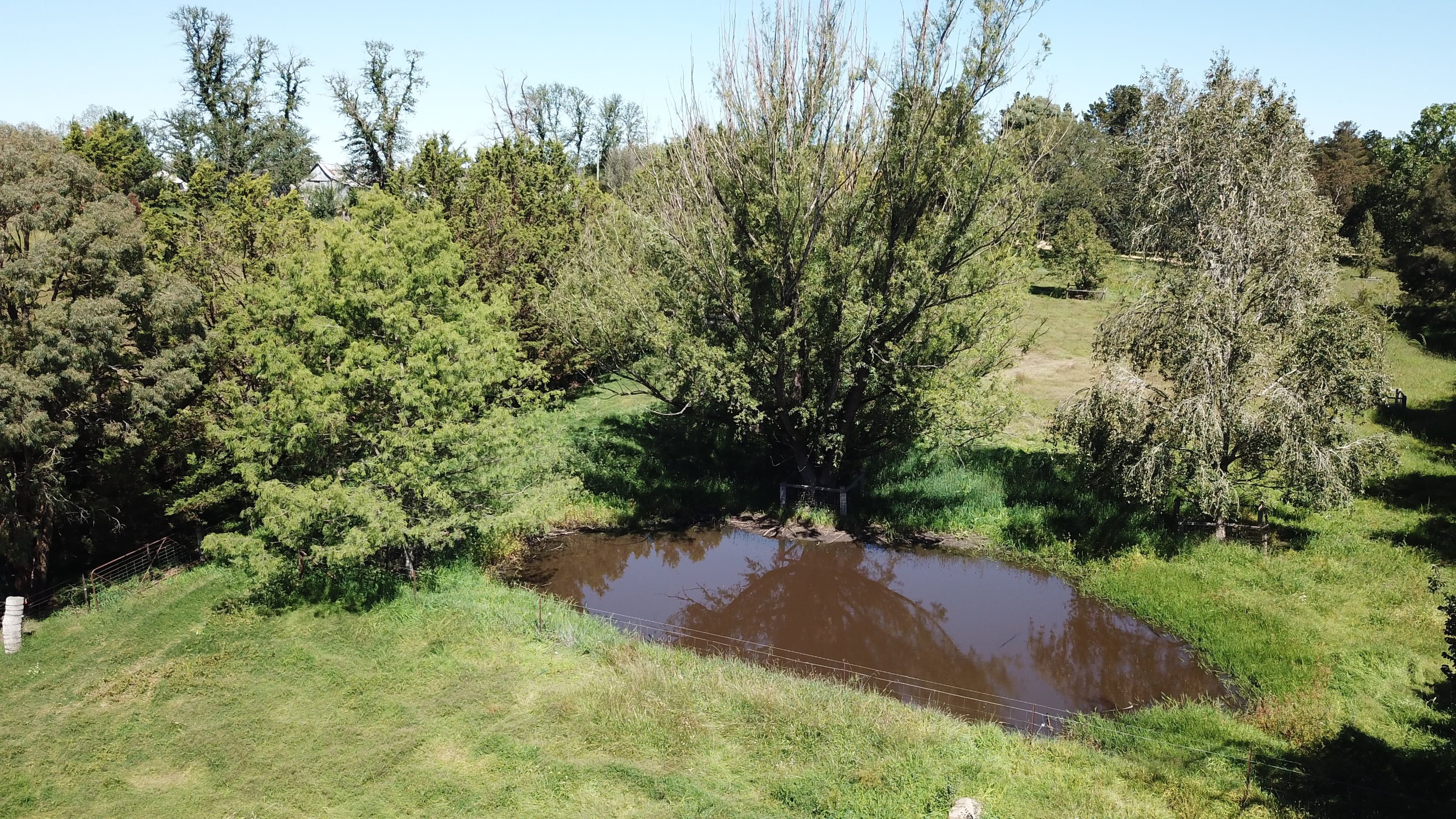 95 Black Lane, Armidale NSW 2350, Armidale - Thumbnail 7