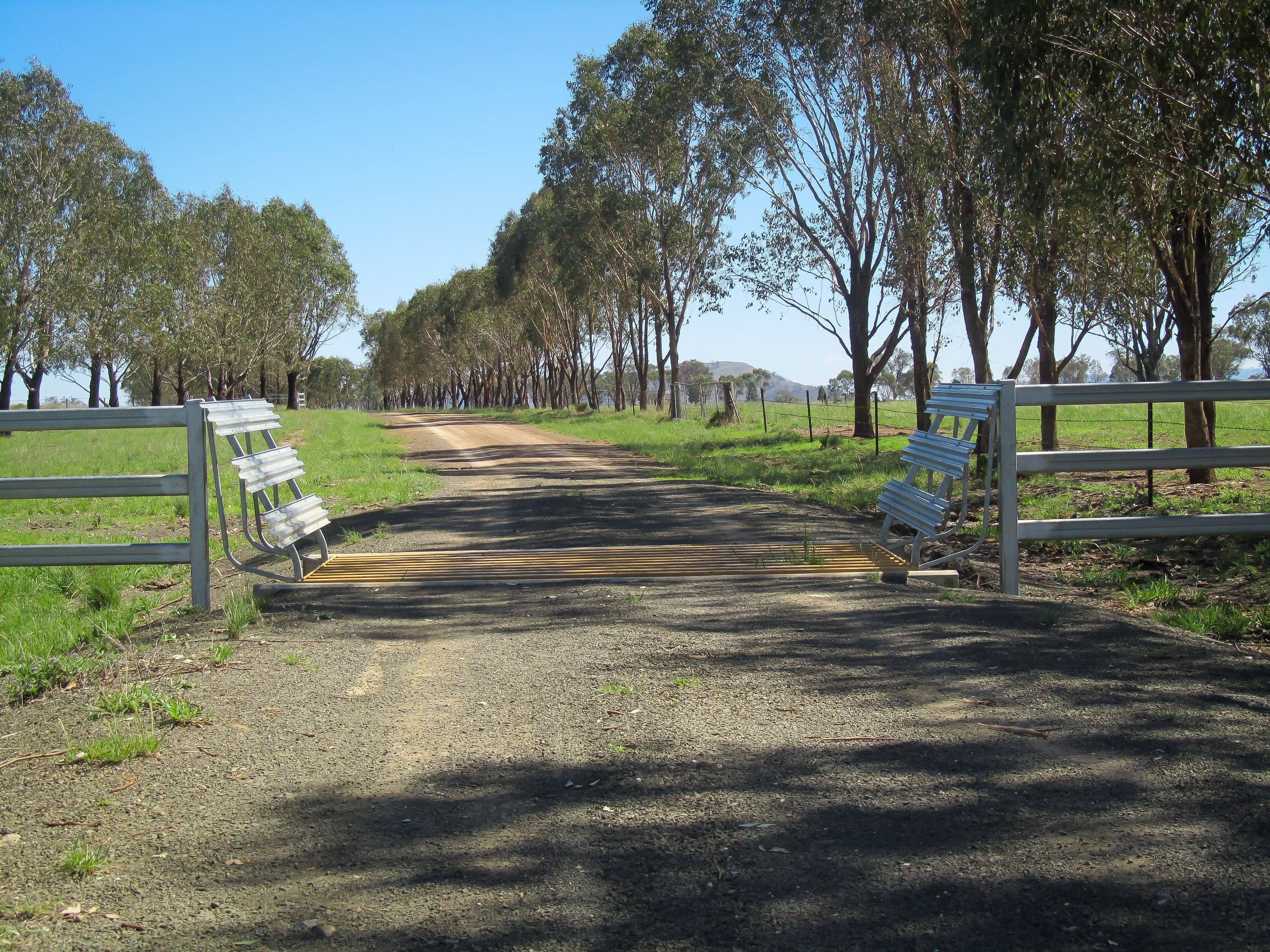 'Belfield' Trevallyn Road, Barraba NSW 2347, Barraba - Thumbnail 5