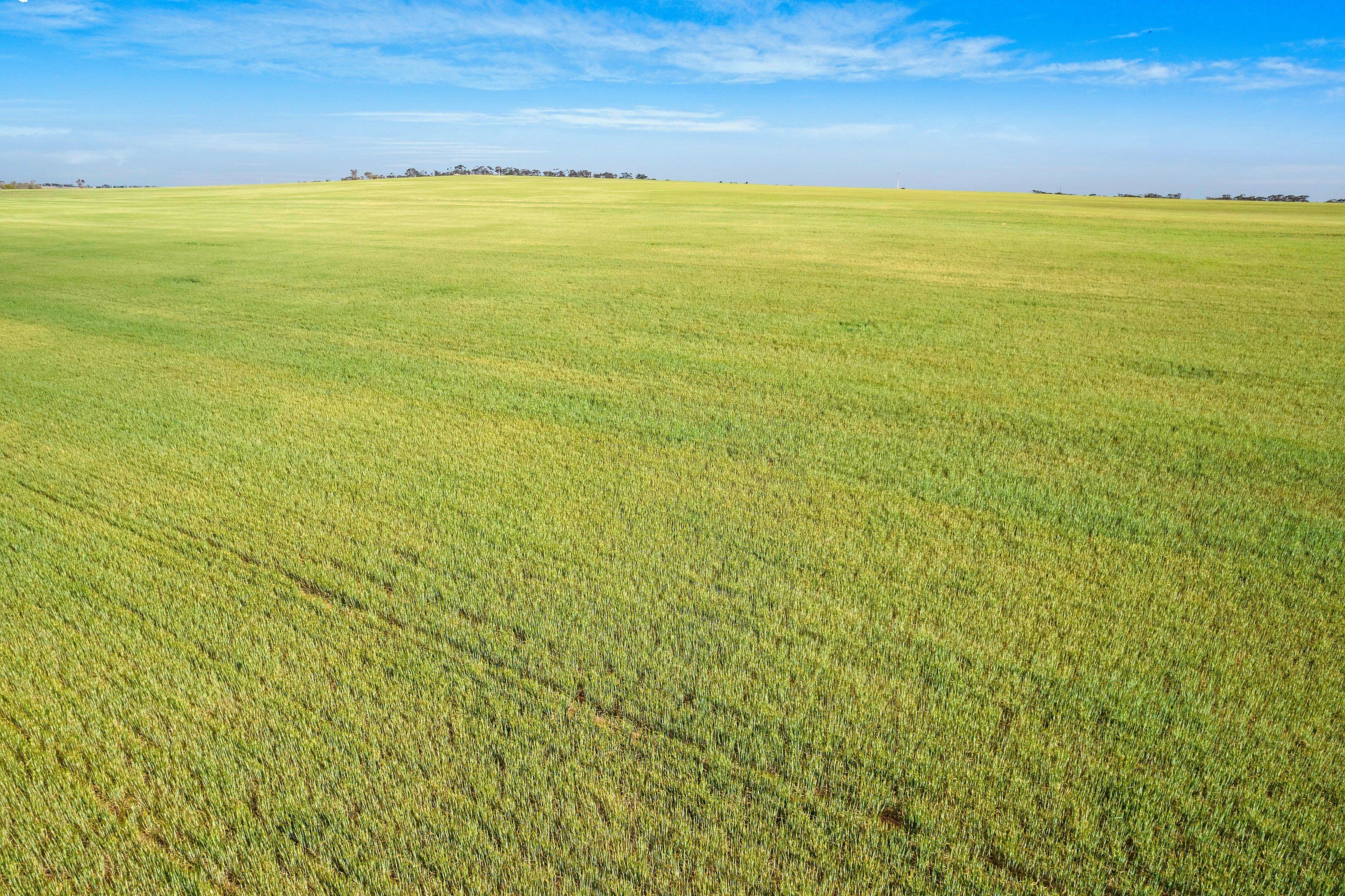 Lot 2 Payne Road, Koongawa SA 5650, Koongawa - Thumbnail 5