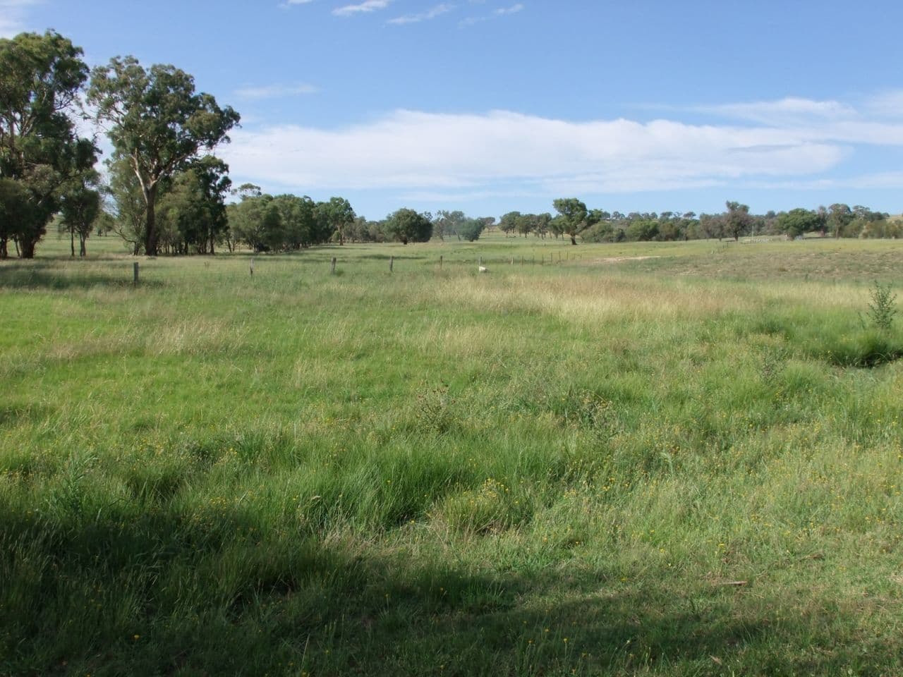 2044 Lagoon Road, Bathurst NSW 2795, Bathurst - Thumbnail 5