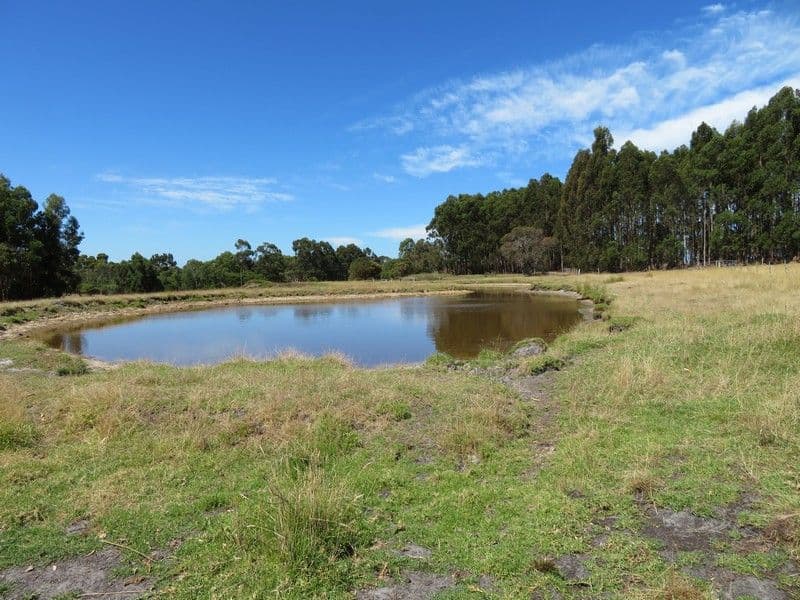 Lot 4 Mount Richard Road, Albany WA 6330, Albany - Thumbnail 5