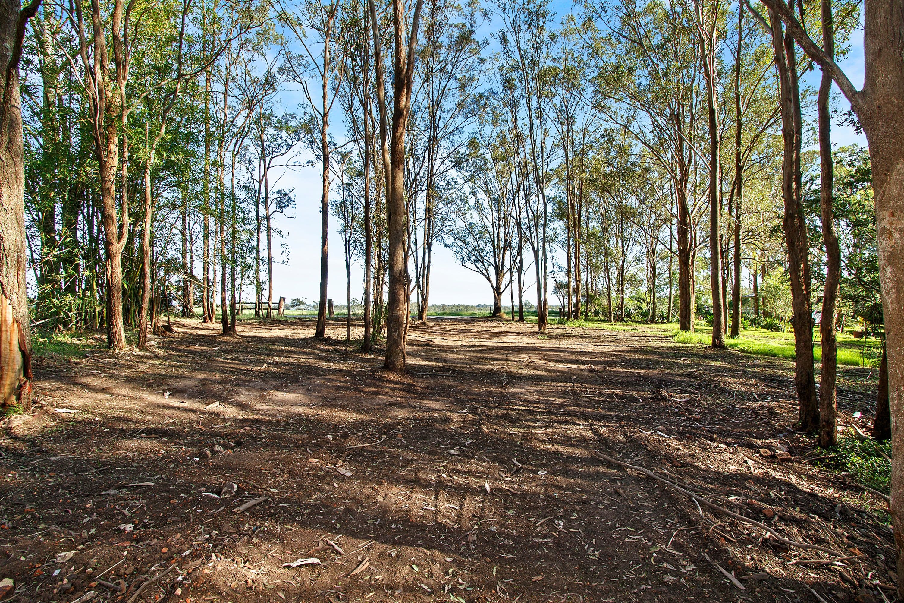300 Terrace Road, North Richmond NSW 2754, North Richmond - Thumbnail 2
