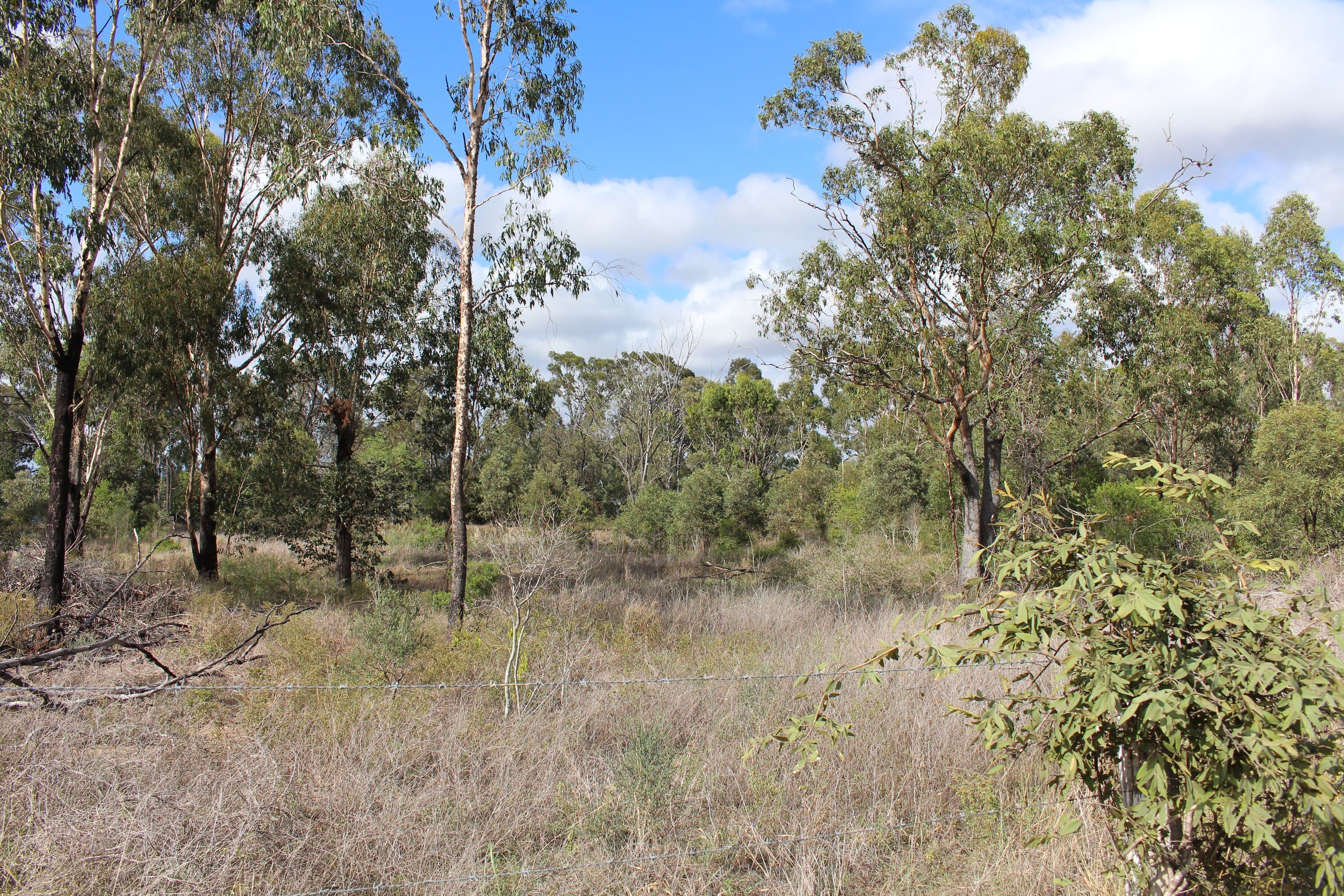 28 Munro Lane, Marmor QLD 4702, Marmor - Thumbnail 7