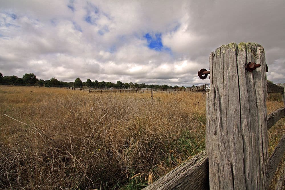 85 Trucking Yard Lane, Bungendore NSW 2621, Bungendore - Thumbnail 8