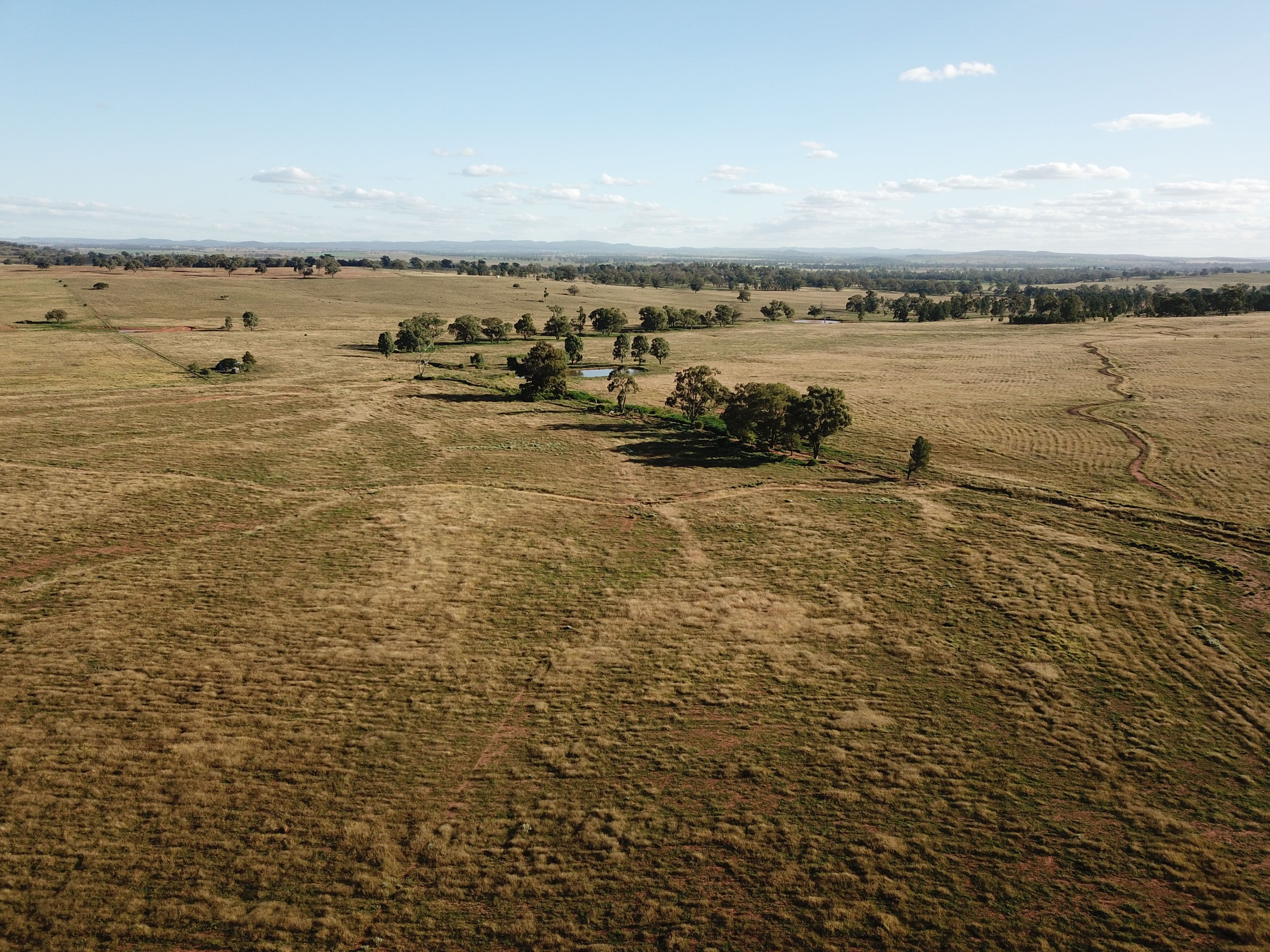 'West Waugoola' Old Dubbo Road, Geurie NSW 2818, Geurie - Thumbnail 7