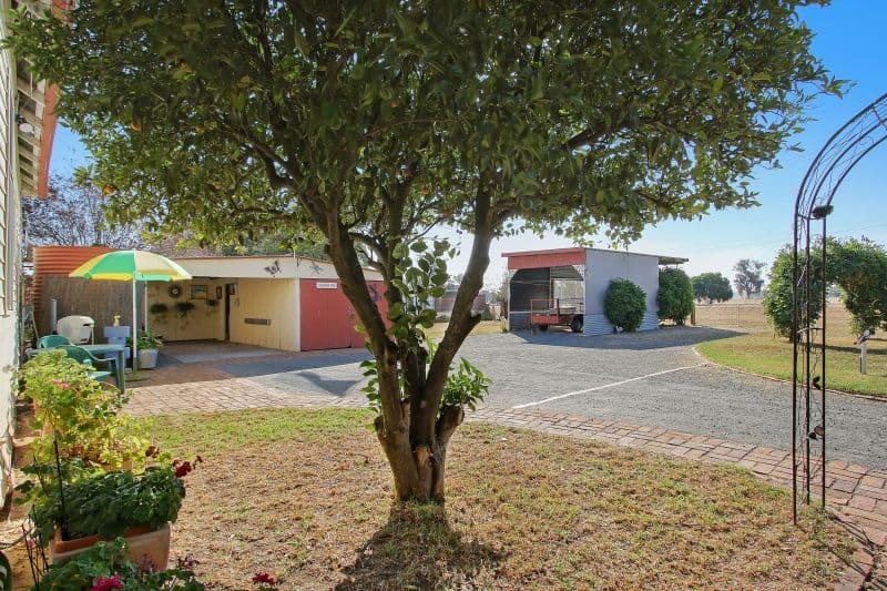 101 Munro Street, Culcairn NSW 2660, Culcairn - Thumbnail 5