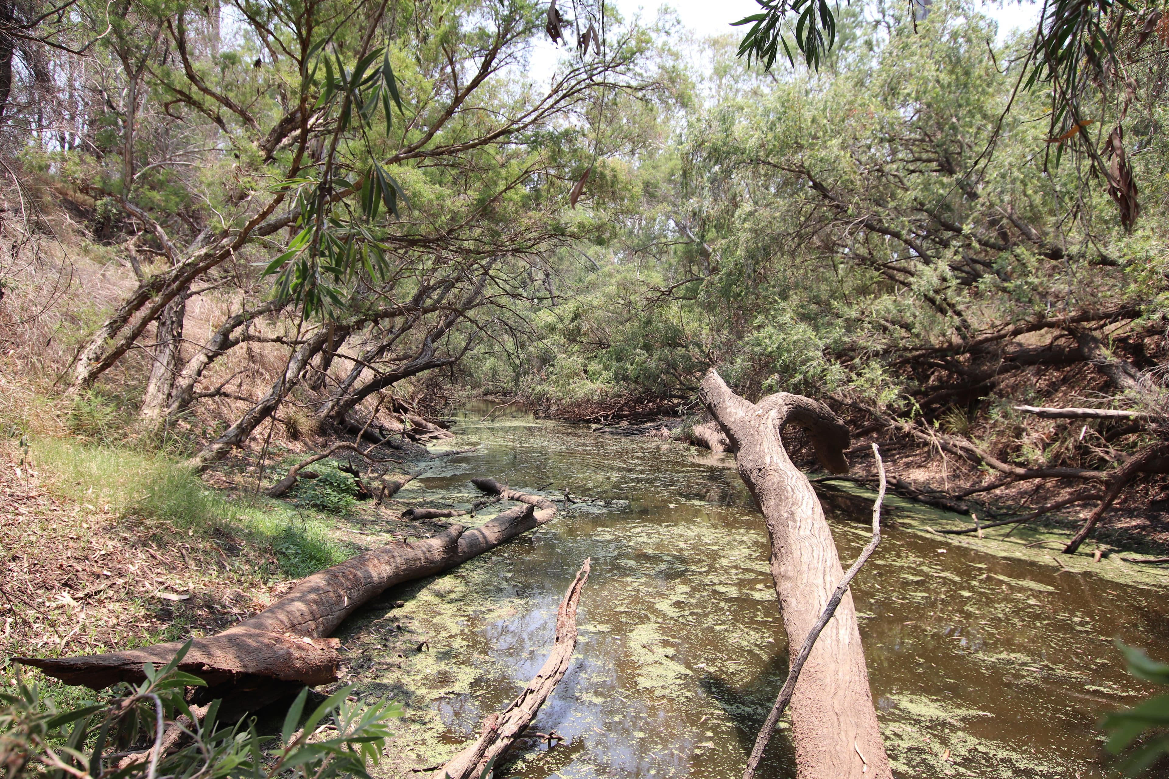 Goovigen QLD 4702, Goovigen - Thumbnail 6