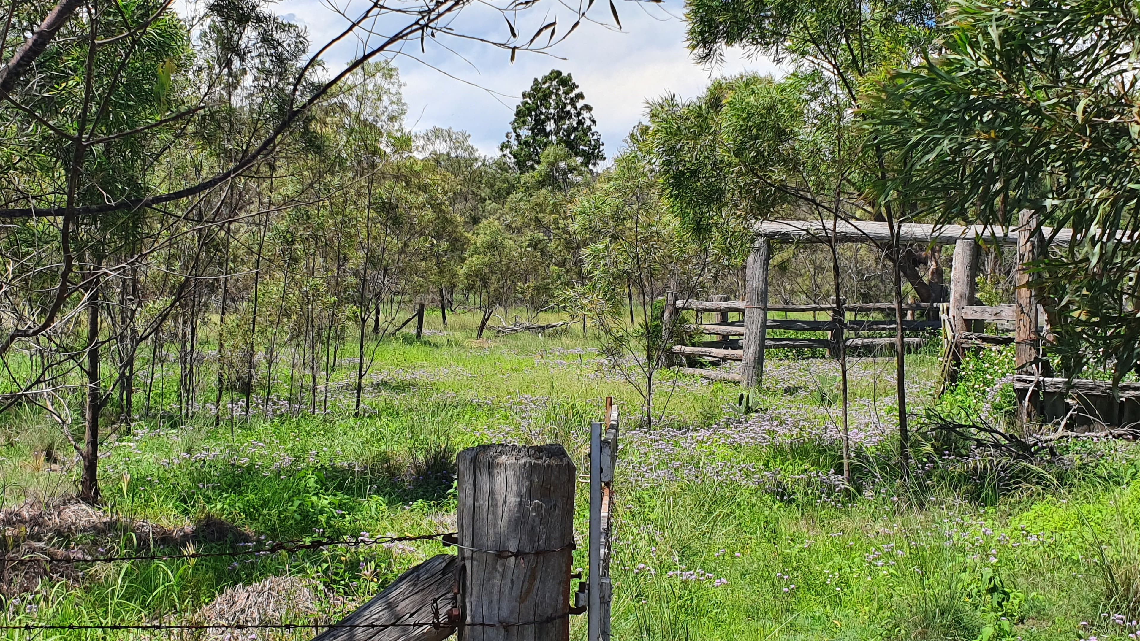 20 South Street, Crows Nest QLD 4355, Crows Nest - Thumbnail 3