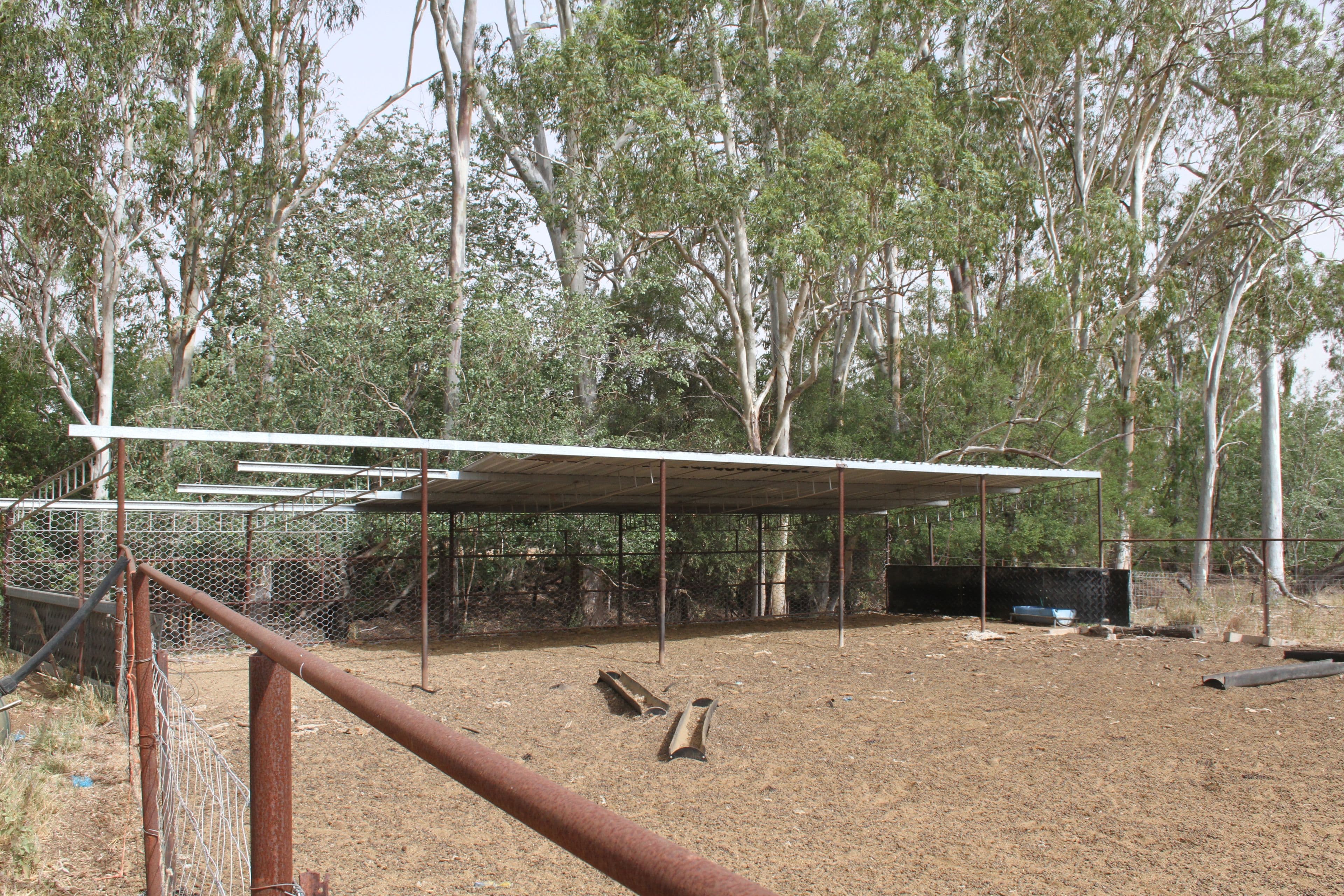 725 DEE RIVER Road, Dululu QLD 4702, Dululu - Thumbnail 7