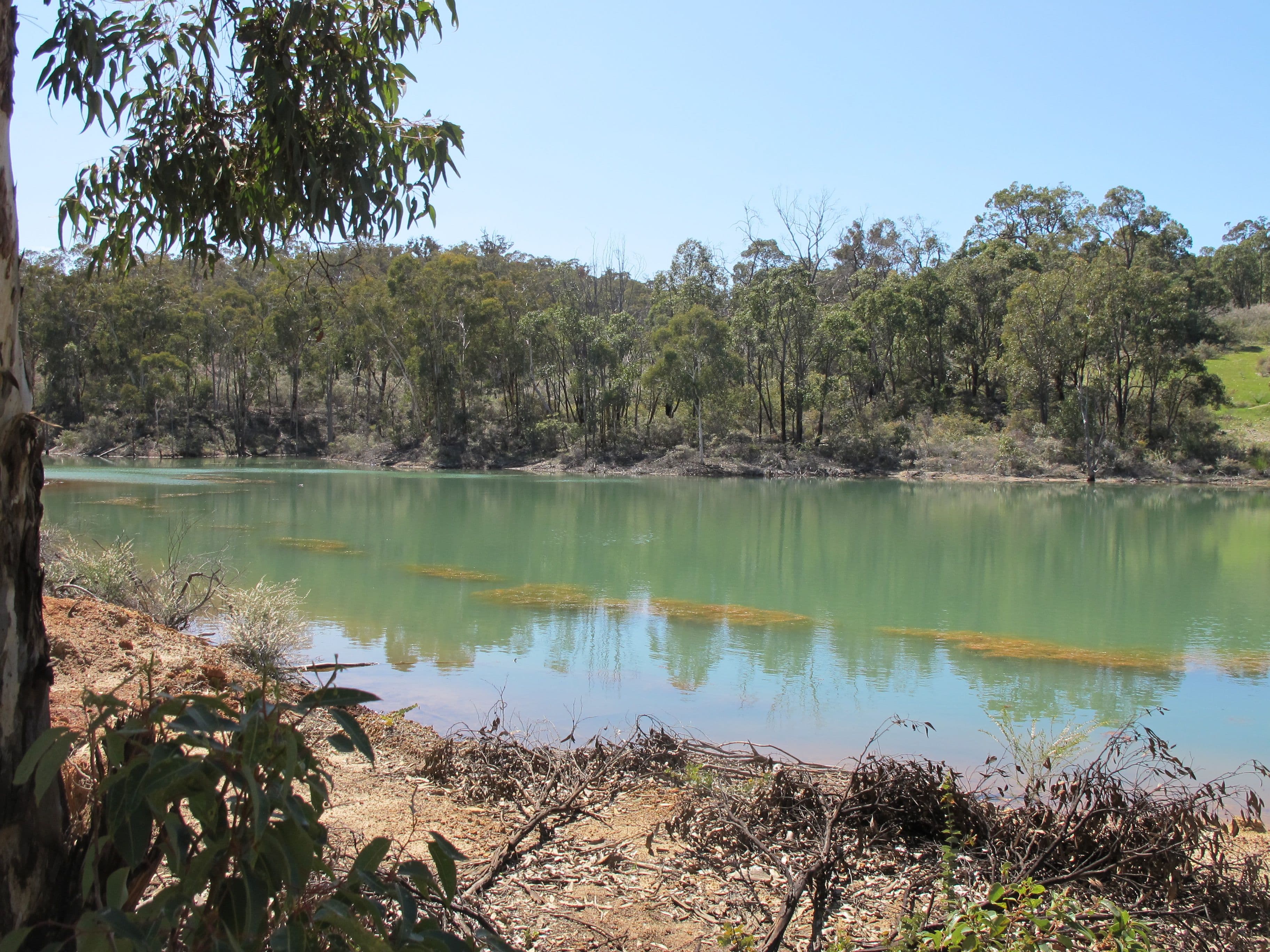 Springbank Farm, Julimar Road, Toodyay WA 6566, Toodyay - Thumbnail 4