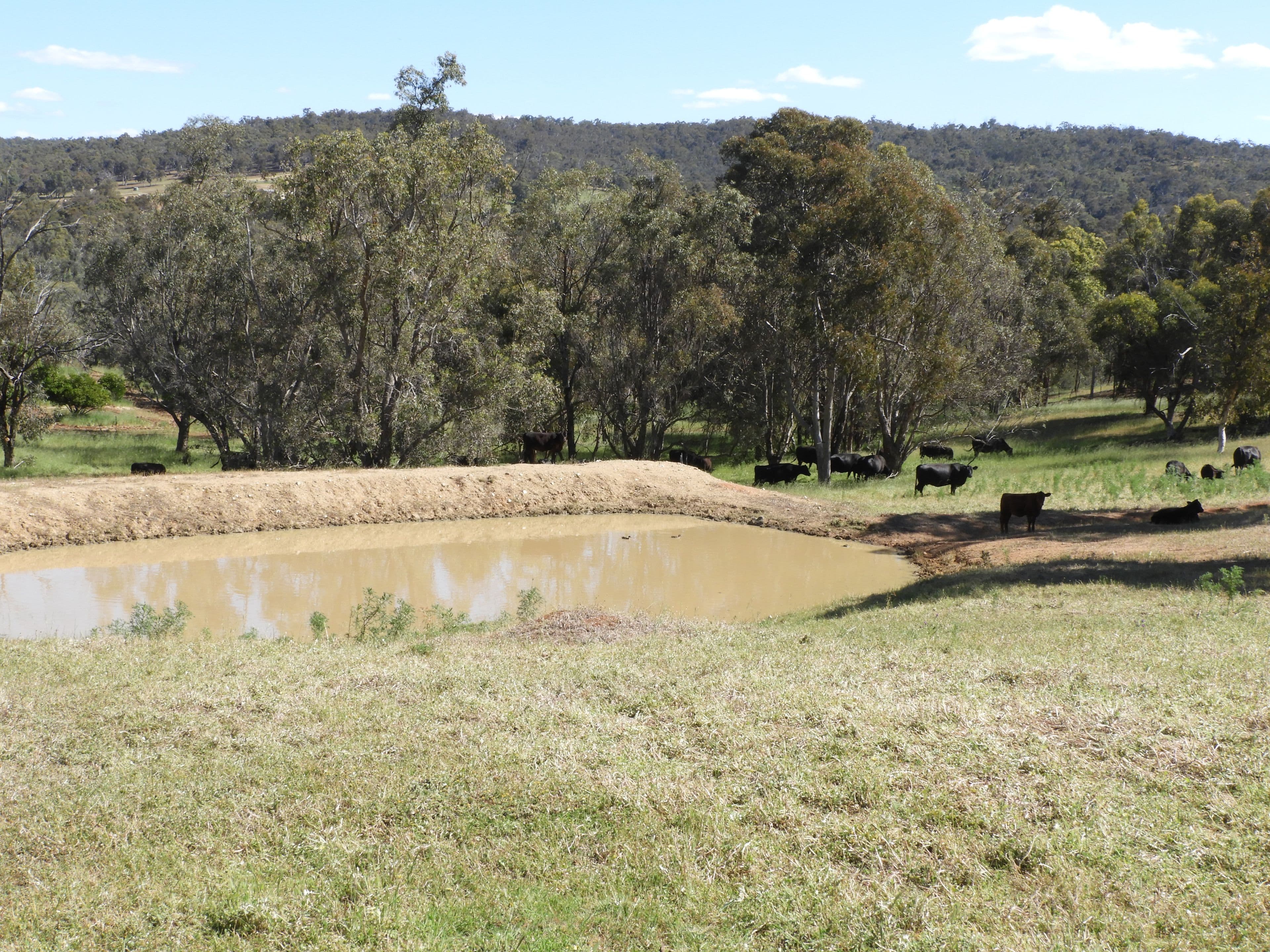 Lot 713 Chittering Rd Lower Chittering, Chittering WA 6084, Chittering - Thumbnail 6