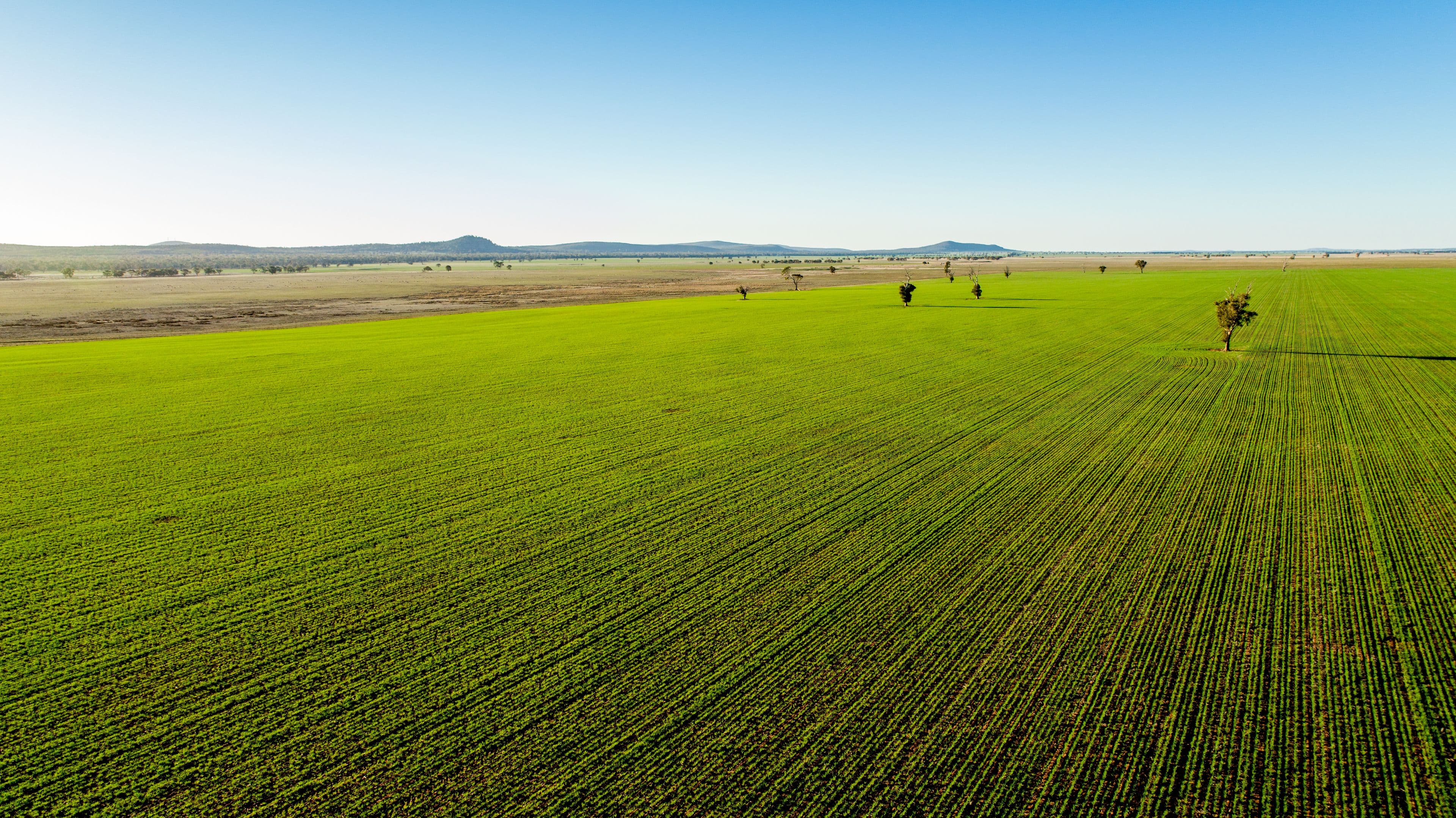 Narrandera NSW 2700, Narrandera - Image 1