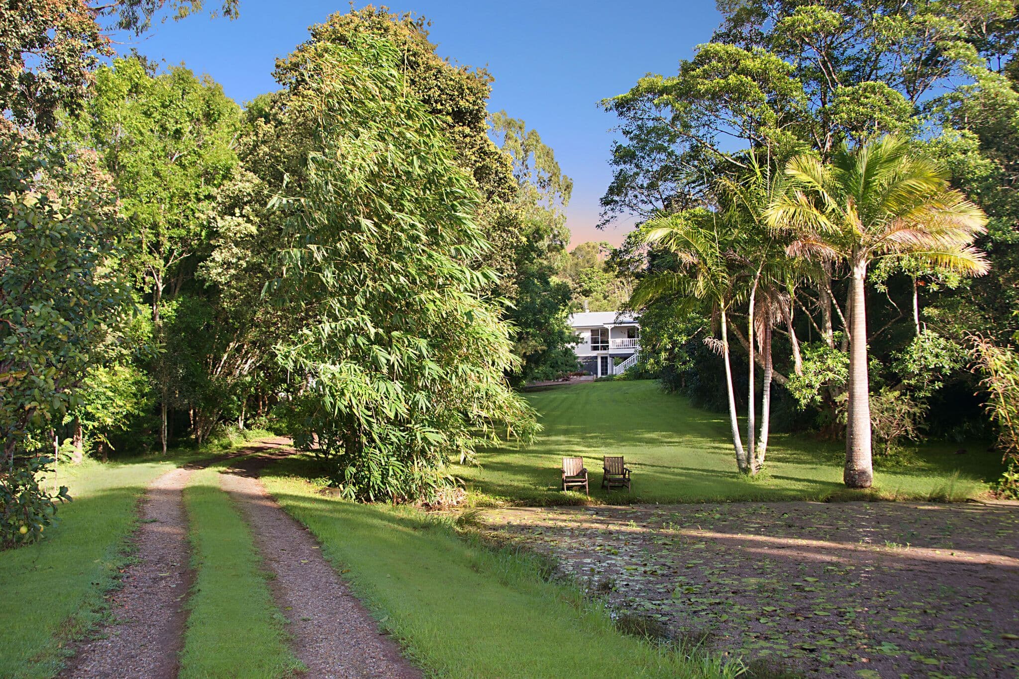 37 Teutoberg Avenue, Witta QLD 4552, Witta - Image 1