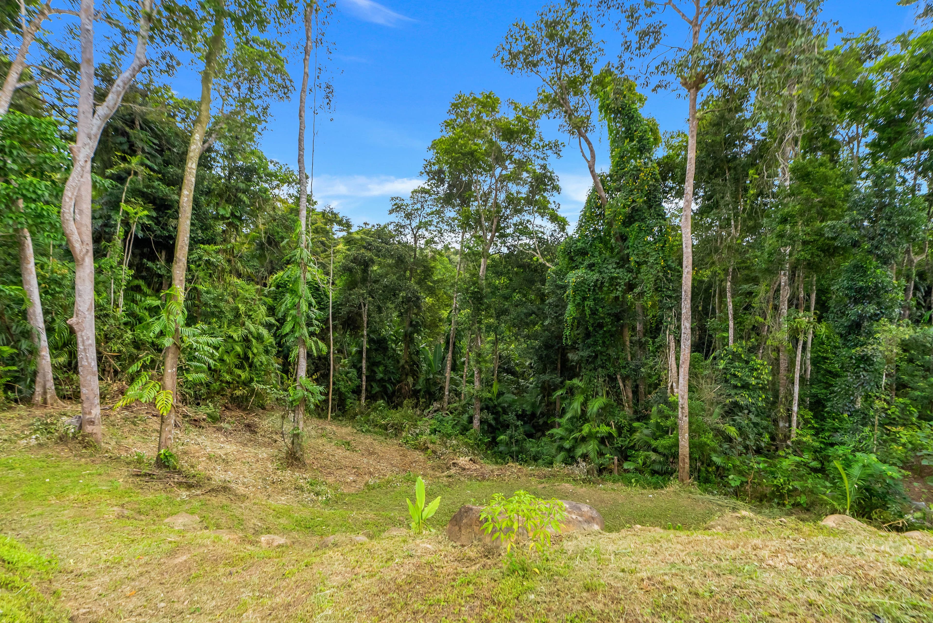 12B Morton Street, Kuranda QLD 4881, Kuranda - Thumbnail 3