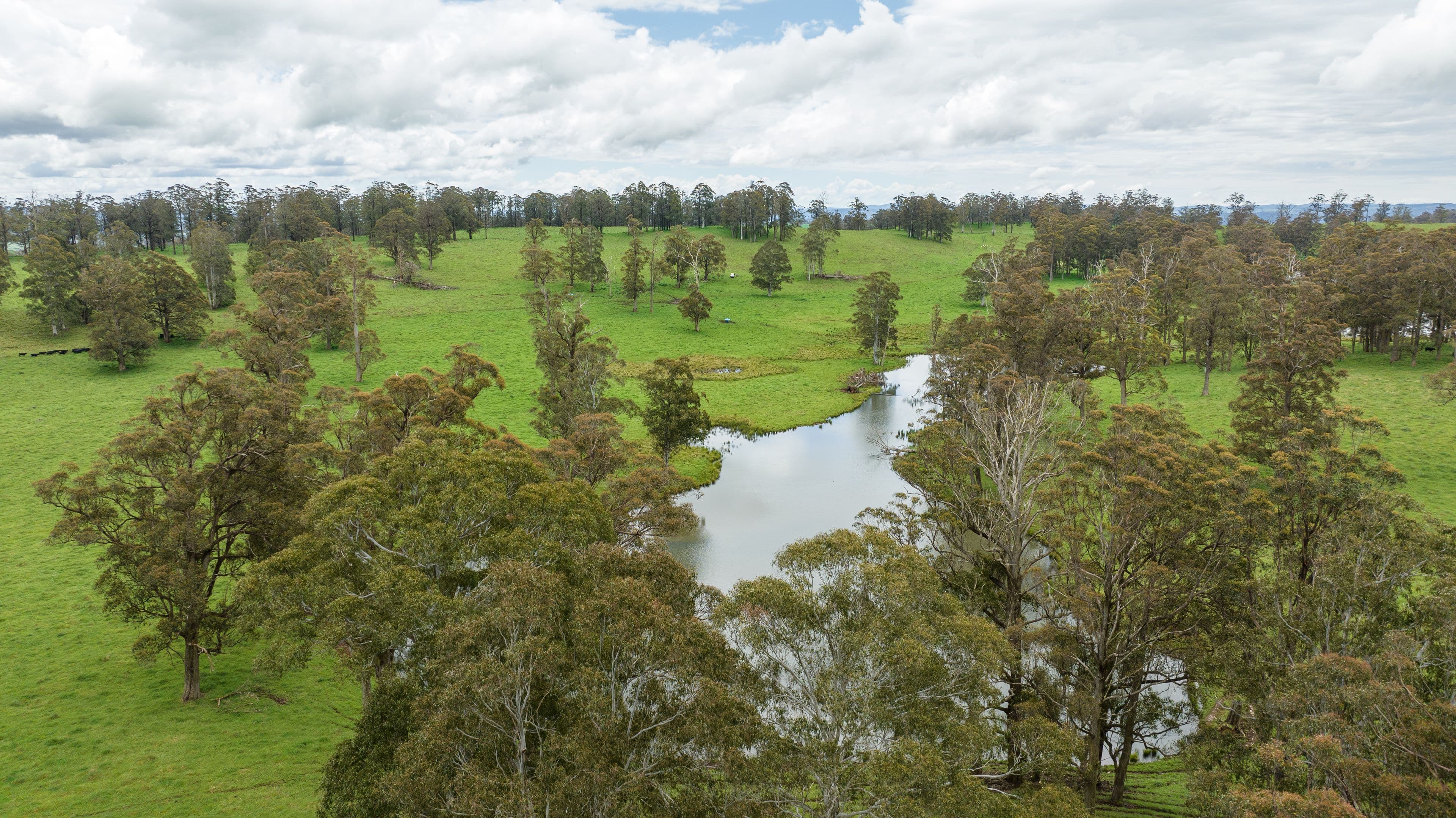 145 Kangaroo Flat Road, Walcha NSW 2354, Walcha - Thumbnail 5