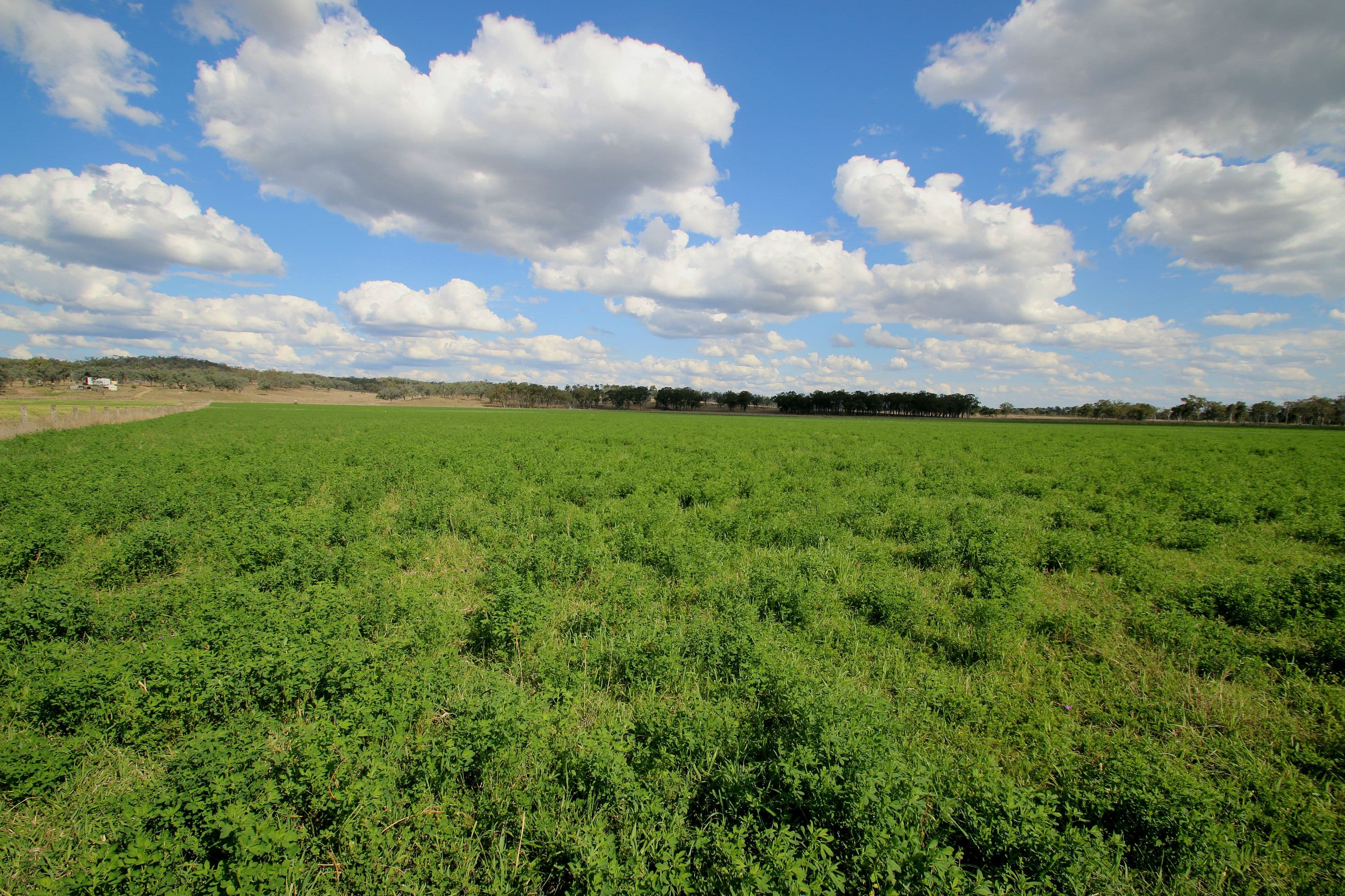 Monto QLD 4630, Monto - Thumbnail 6