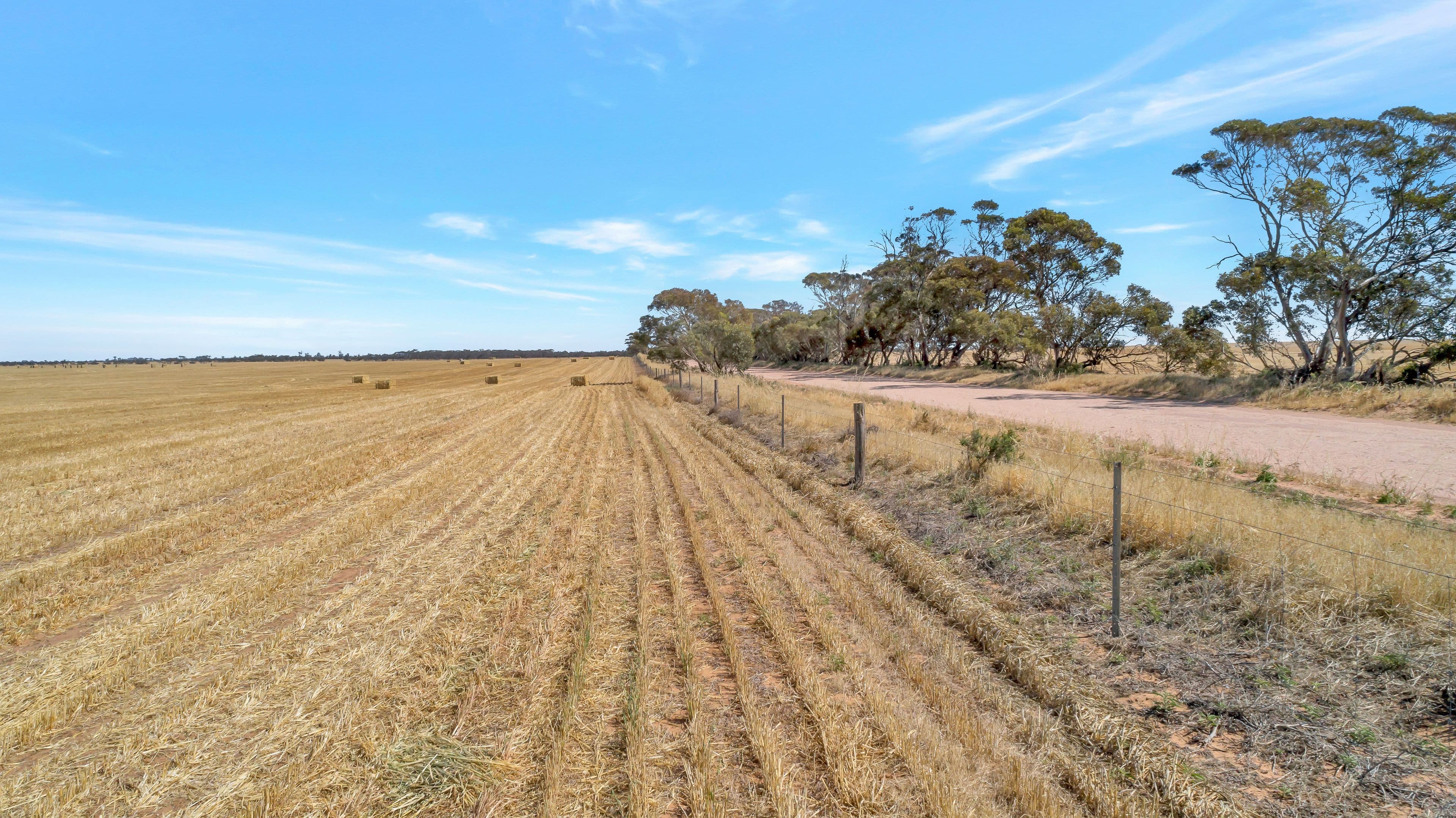 'Gregors' 325 Gurrai Road, Parilla SA 5303, Parilla - Thumbnail 6