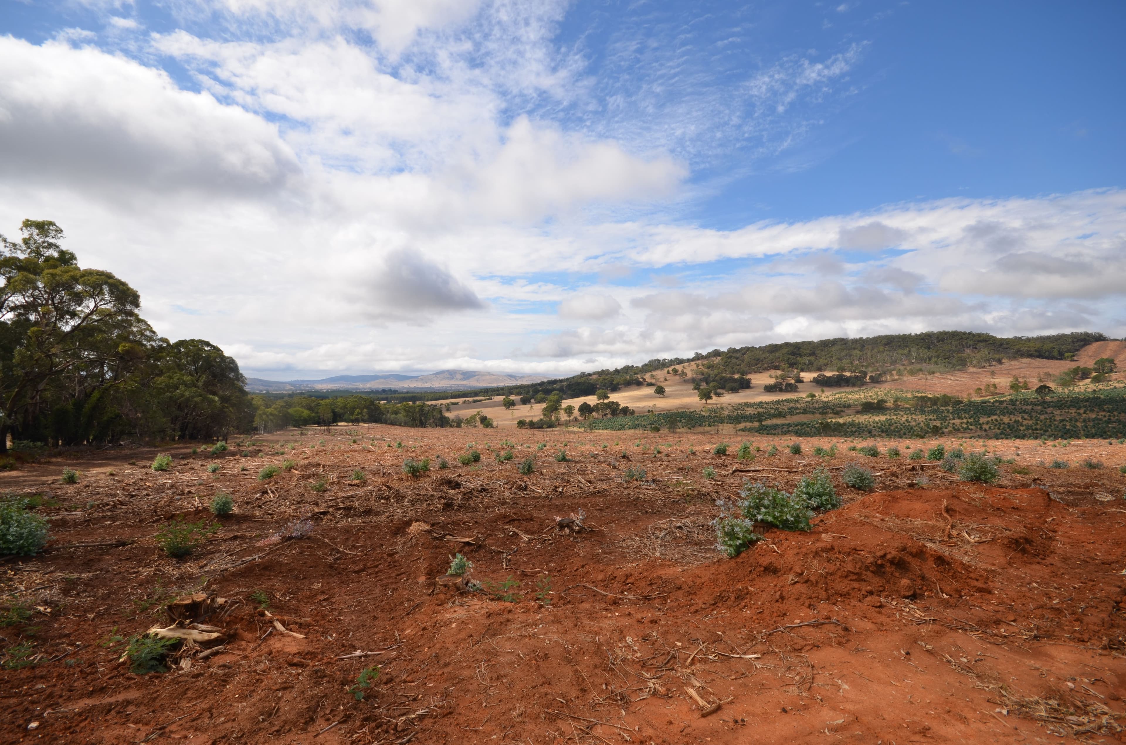 "Cocking West" Mount Lonarch Road, MOUNT LONARCH VIC 3468, Mount Lonarch - Thumbnail 7