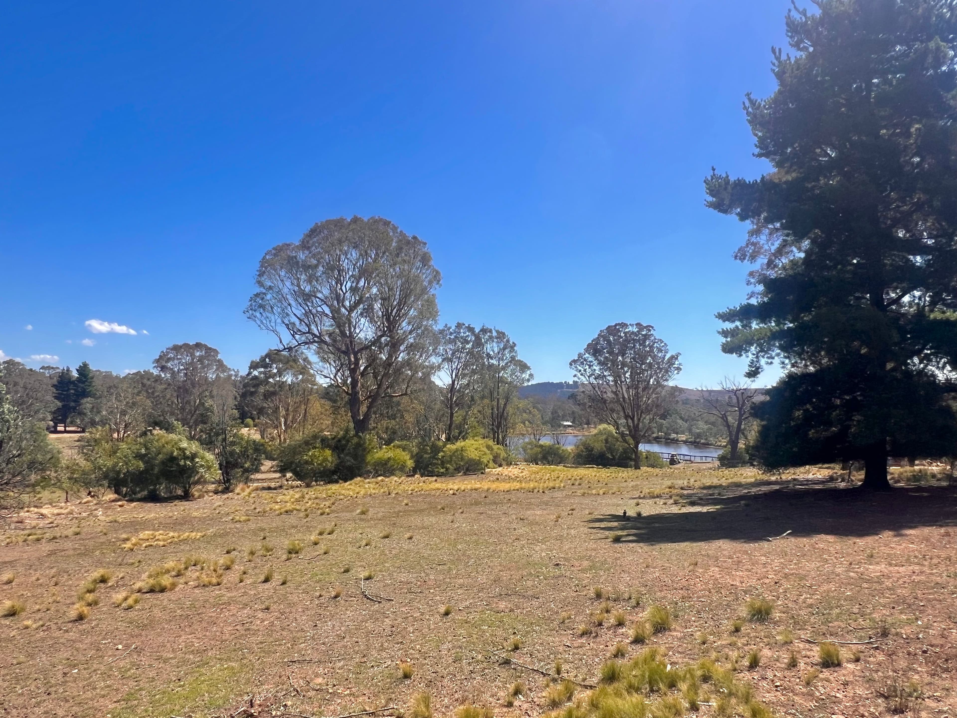 13 Songlark Lane, Sutton NSW 2620, Sutton - Thumbnail 3