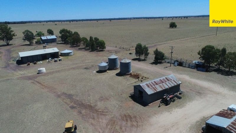 Argyle Downs 44 Woodford Road, BRUIE PLAINS NSW 2875, Bruie Plains - Thumbnail 5