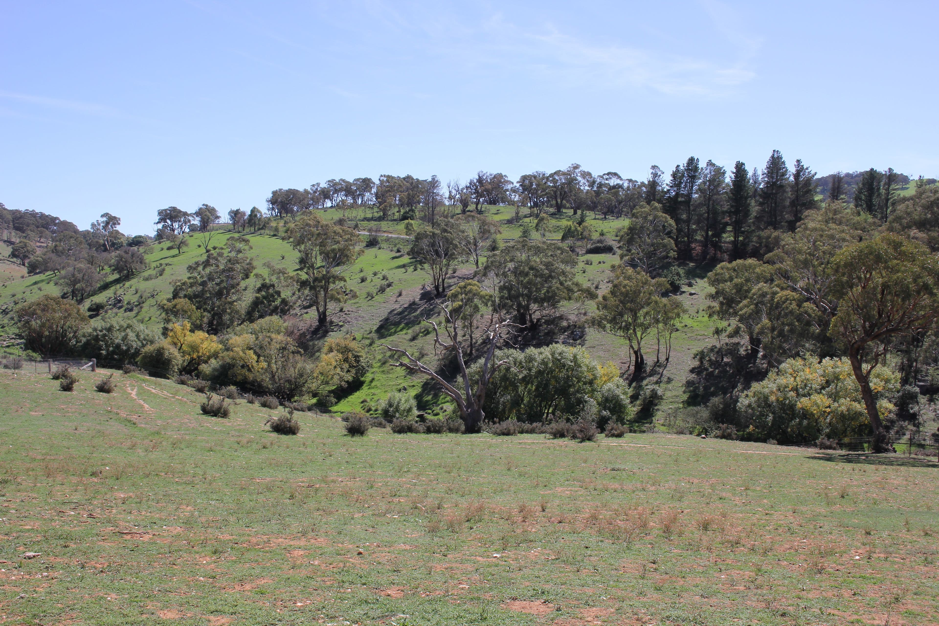 Rockley NSW 2795, Rockley - Thumbnail 5