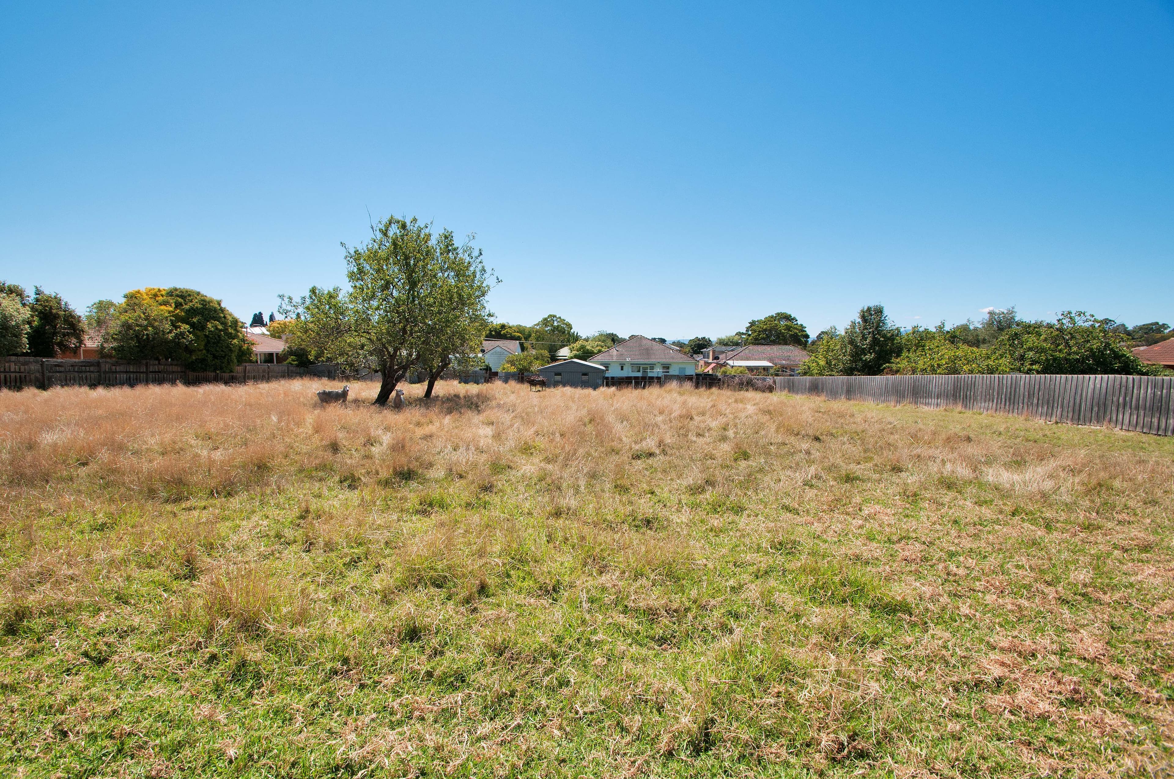 21 McCOMB Street, Lilydale VIC 3140, Lilydale - Thumbnail 8