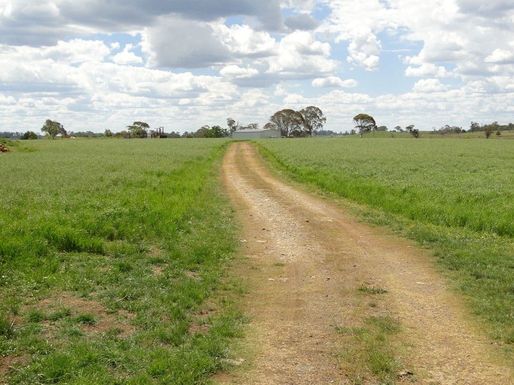 Hilltop Worra Street, GUYRA NSW 2365, Guyra - Image 1