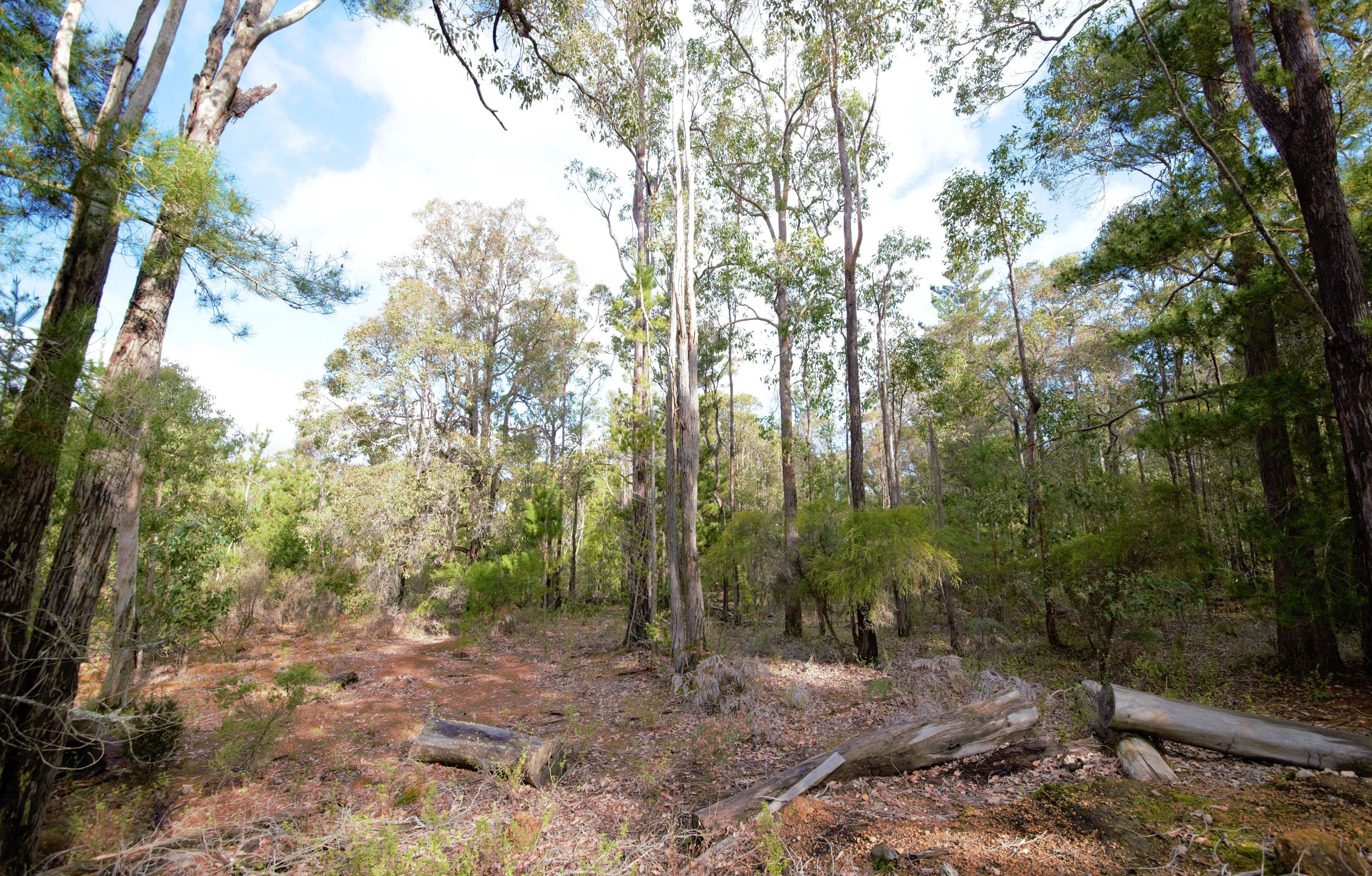 Nannup WA 6275, Nannup - Thumbnail 8