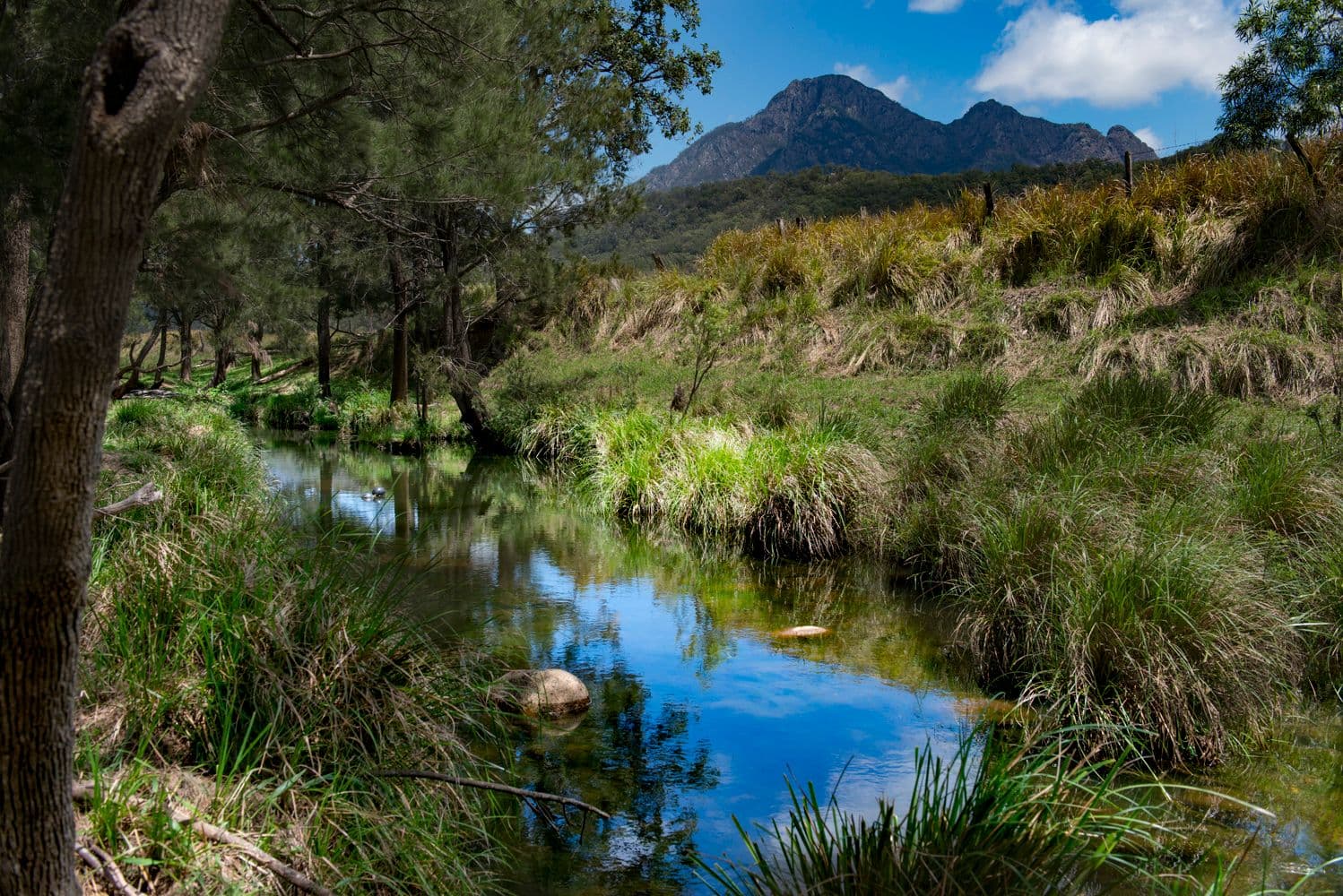 821 Upper Logan Road, Mount Barney QLD 4287, Mount Barney - Thumbnail 5