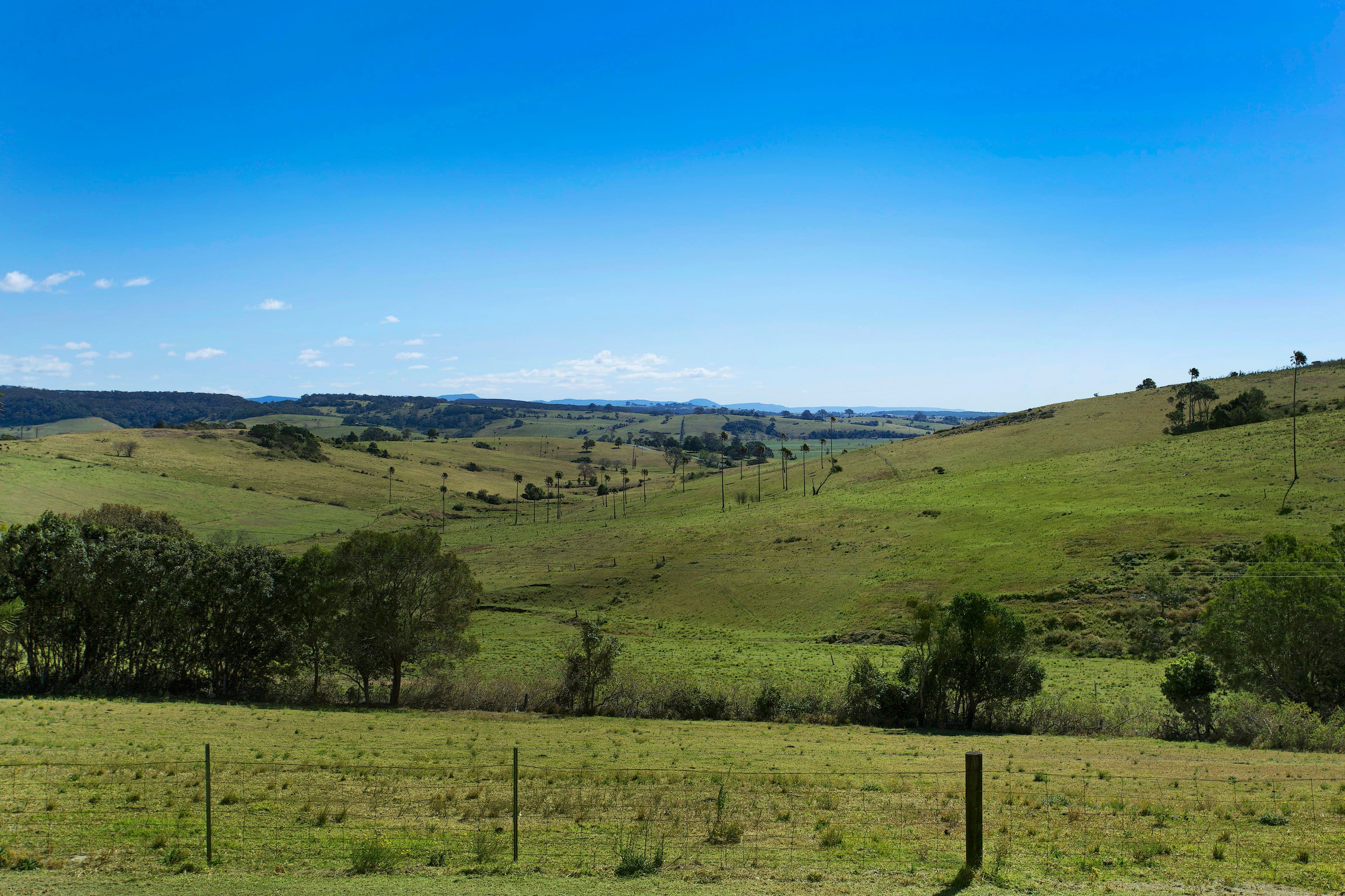 189 Jerrara Road, Kiama NSW 2533, Kiama - Thumbnail 2