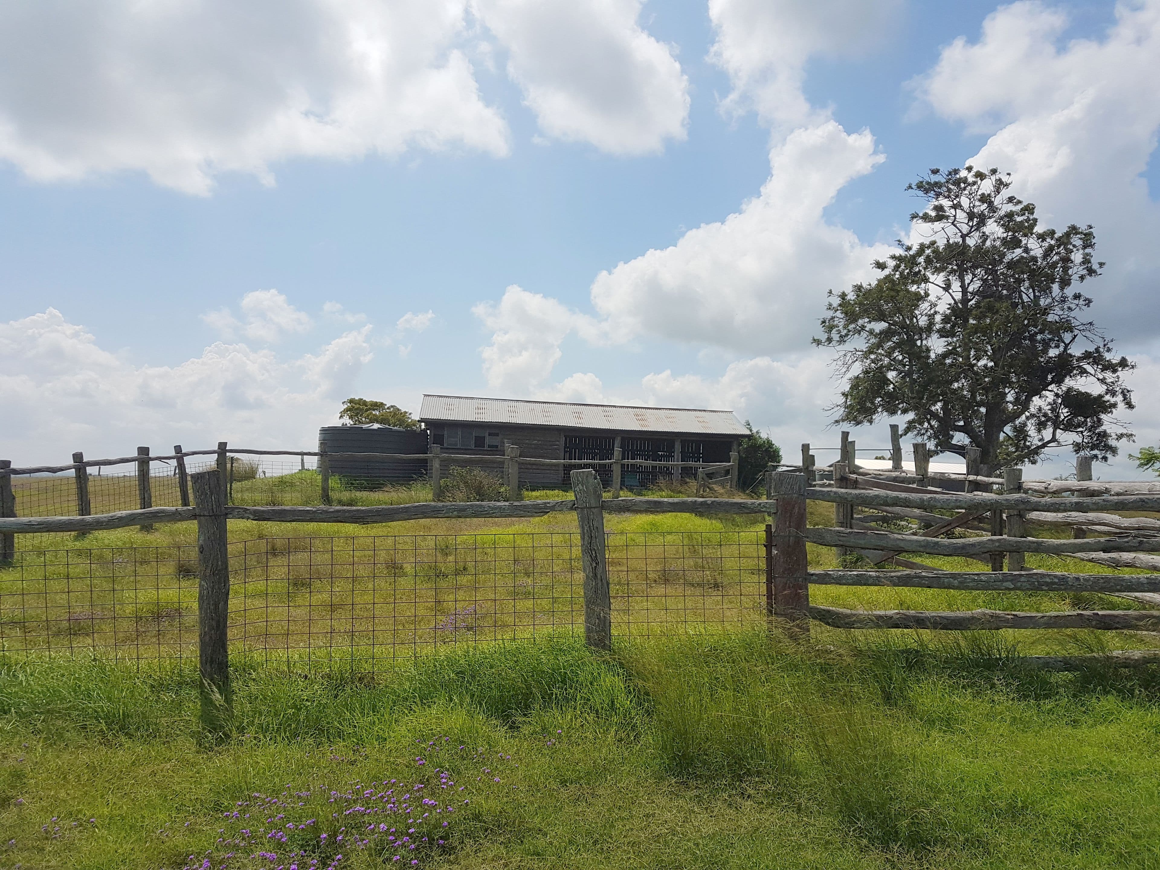 95 Welke Road, Groomsville QLD 4352, Groomsville - Thumbnail 3