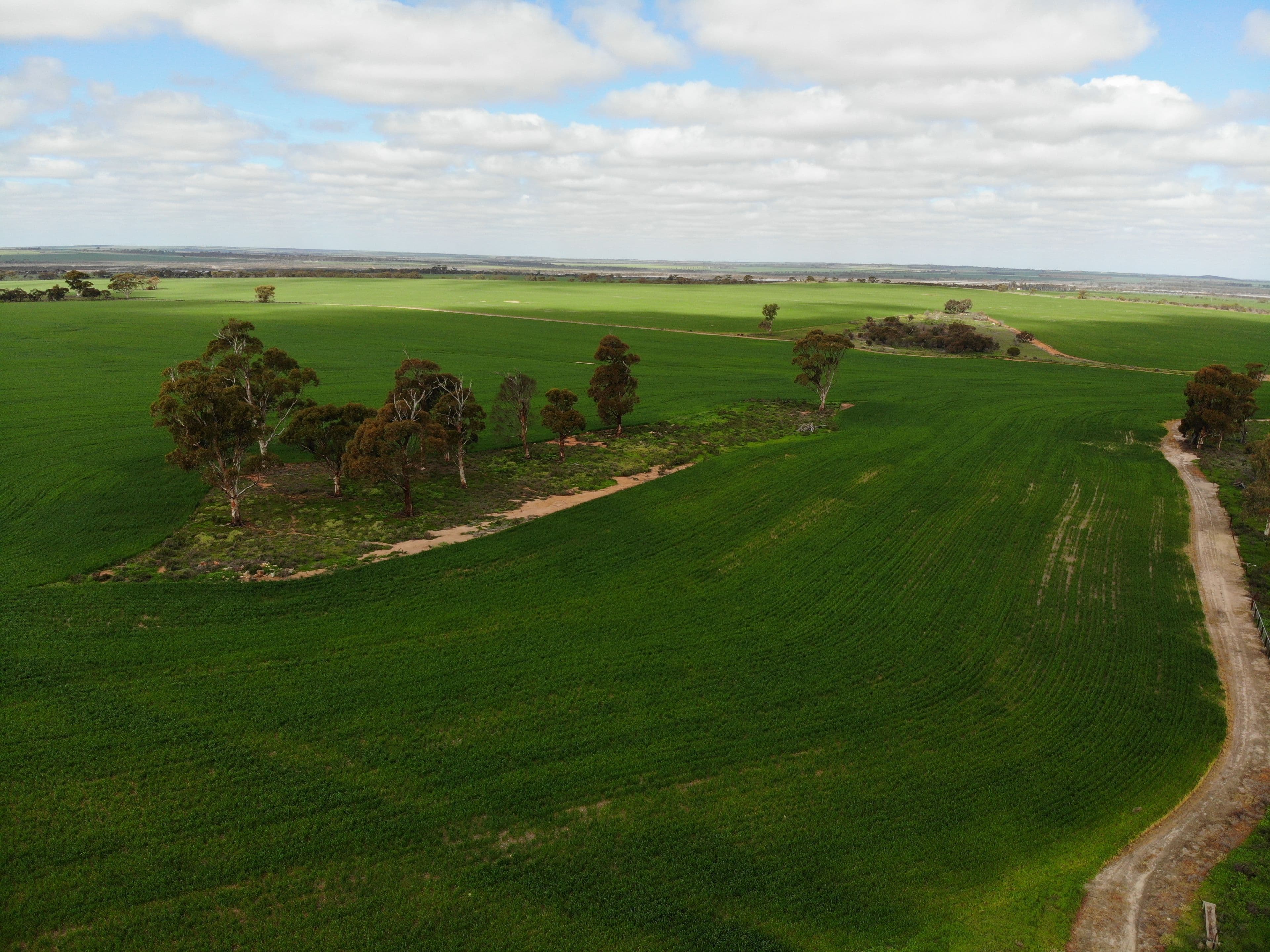 Mitchells North, Coorow WA 6515, Coorow - Thumbnail 3