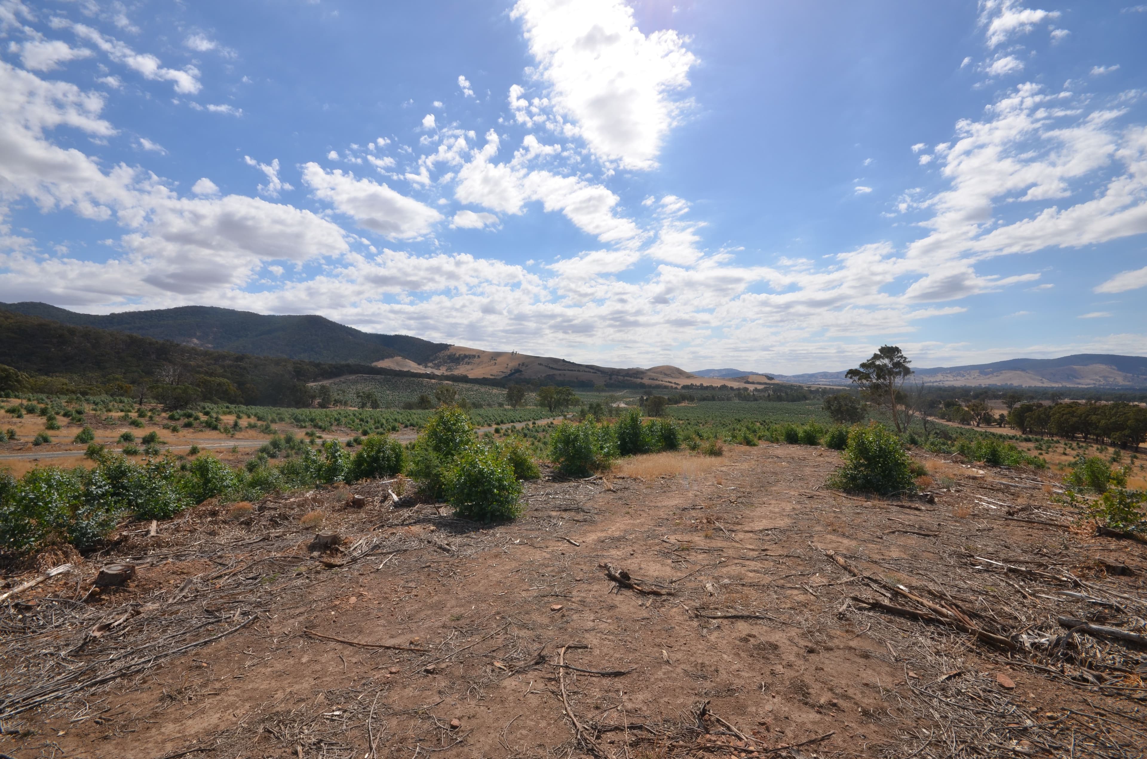 "Darbyshire" Hickman Creek Road, Glenlogie VIC 3469, Glenlogie - Image 1