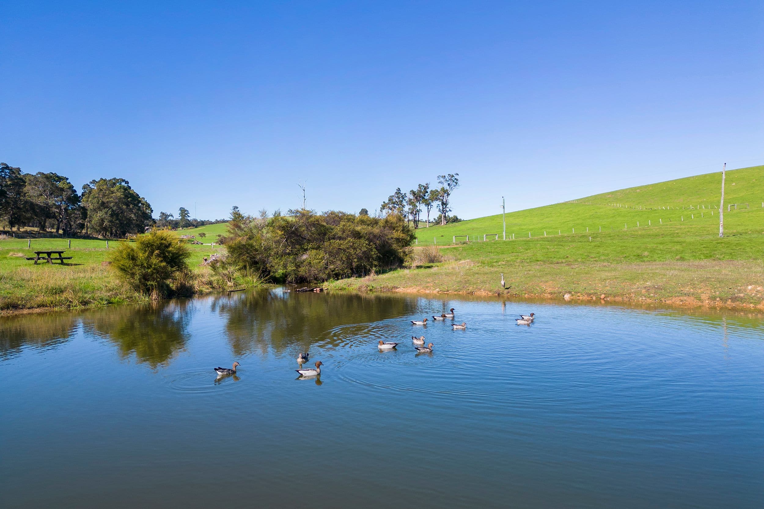 800 Graphite Road, Nannup WA 6275, Nannup - Thumbnail 2