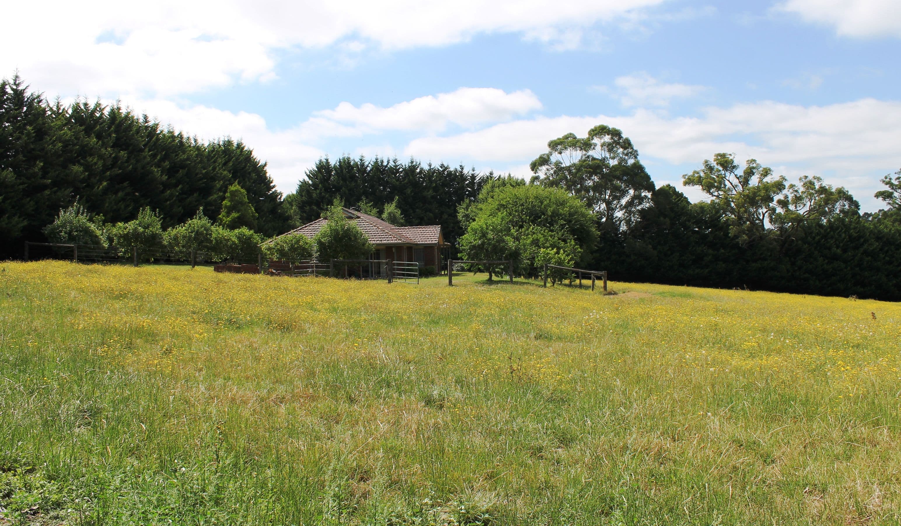 Drouin VIC 3818, Drouin - Image 1