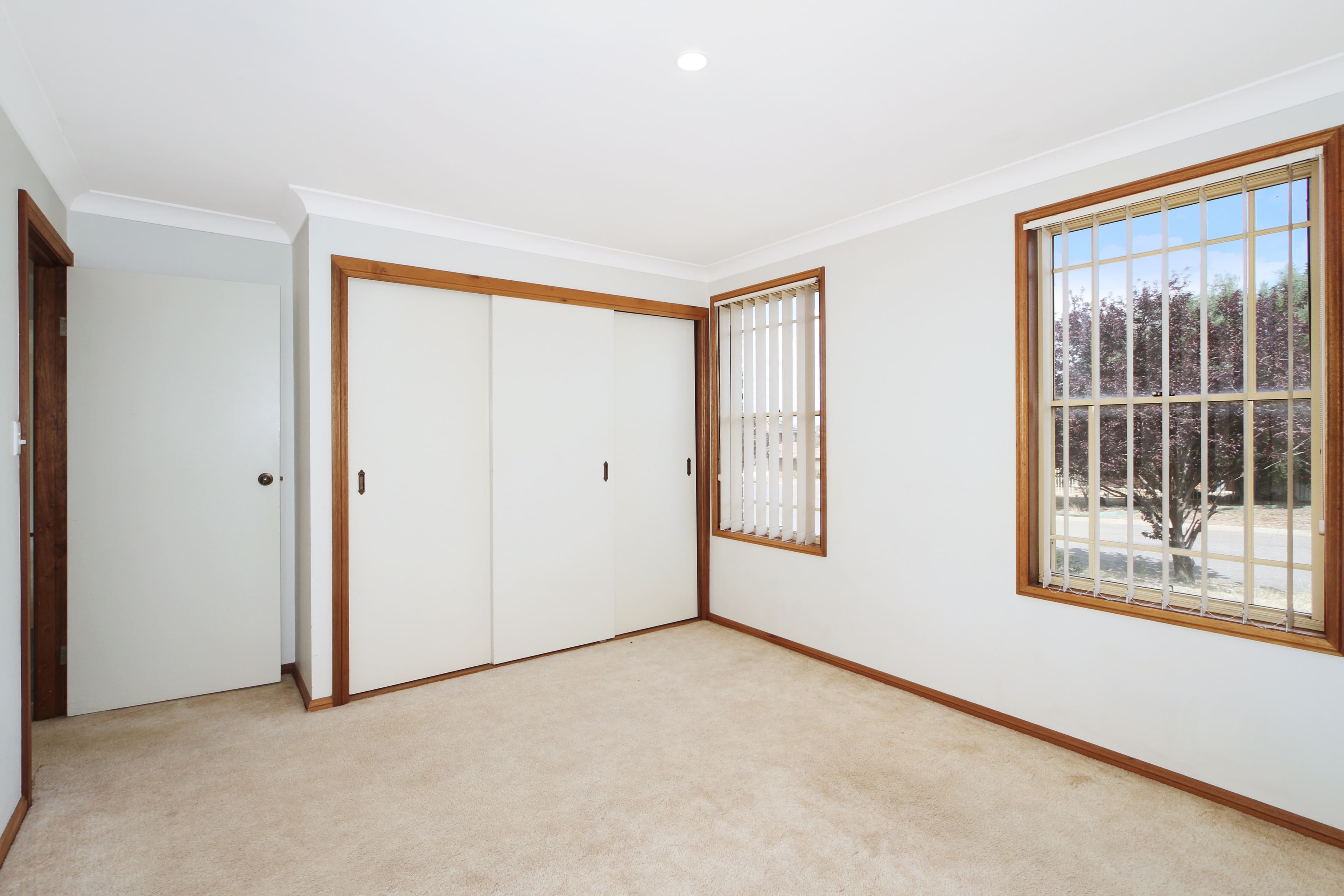 12 The Terrace, Tamworth NSW 2340, Tamworth - Thumbnail 5