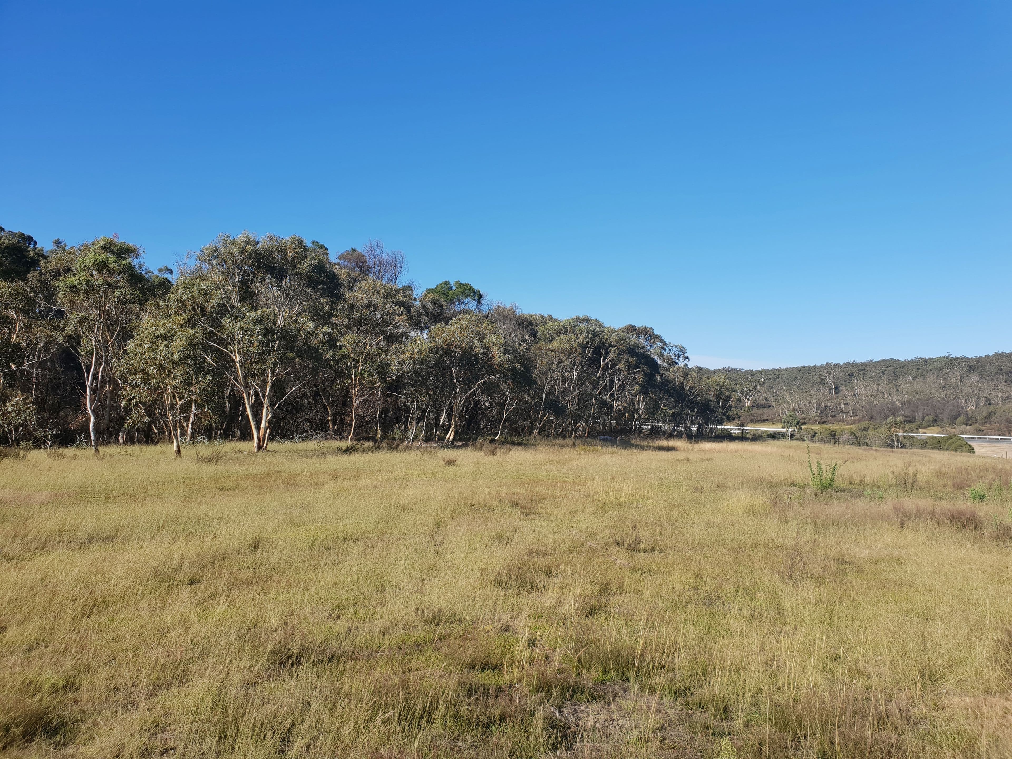 Lot 18 Nerriga Road, Braidwood NSW 2622, Braidwood - Thumbnail 4
