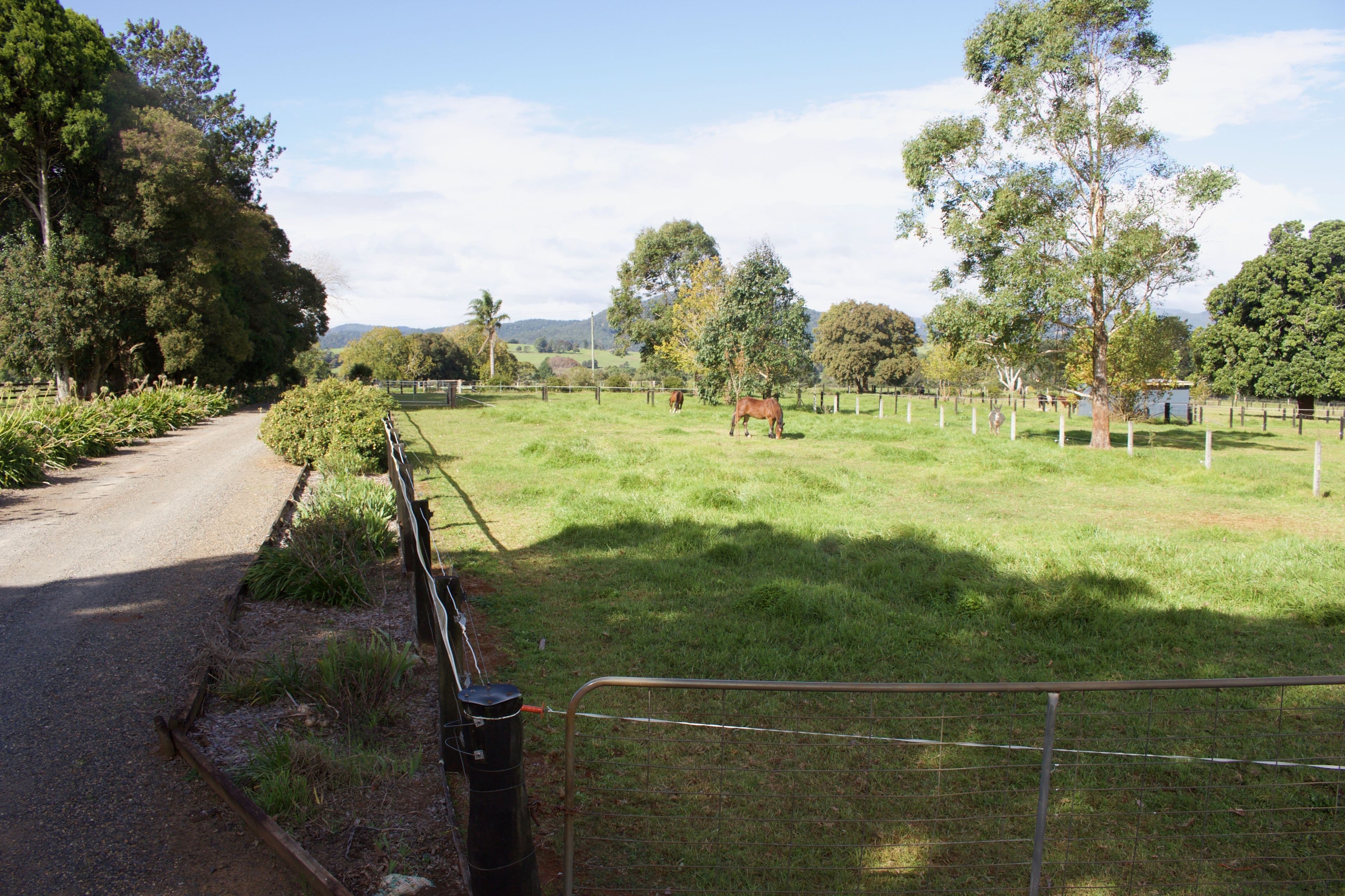 621 Old Coast Road, Dorrigo NSW 2453, Dorrigo - Thumbnail 8