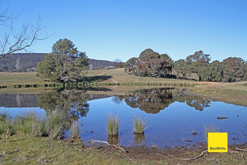 1544 Collector Road, Currawang NSW 2580, Currawang - Thumbnail 2