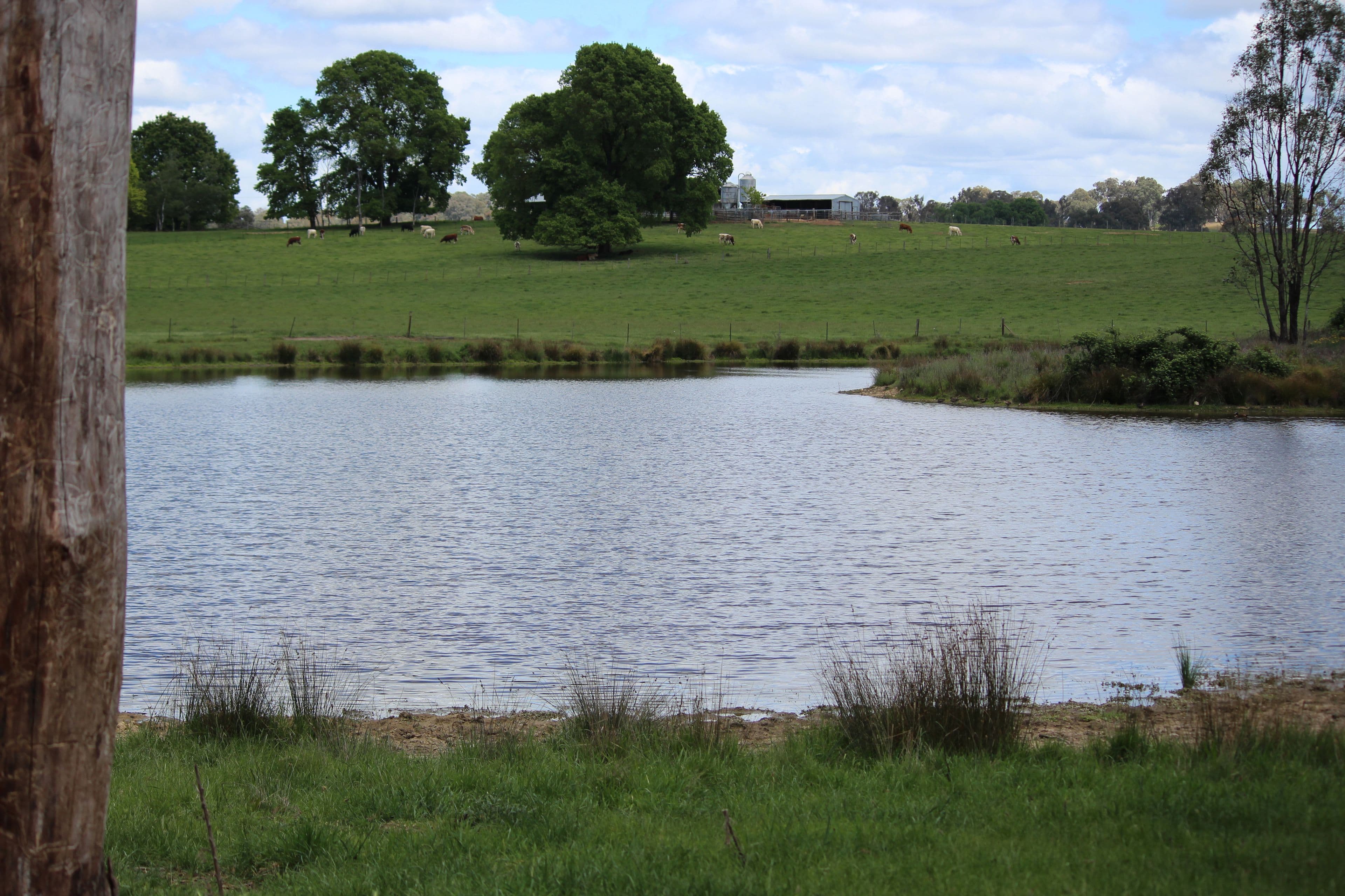 185 Old Taradale Road, Rosewood NSW 2652, Rosewood - Thumbnail 3