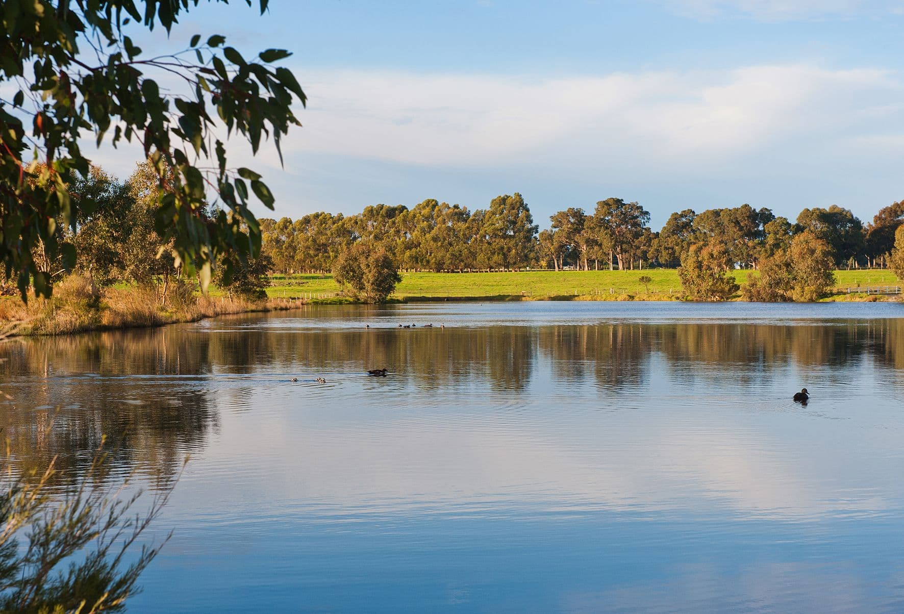 2 (Lot 84) Ripple Place, Cowaramup WA 6284, Cowaramup - Thumbnail 8
