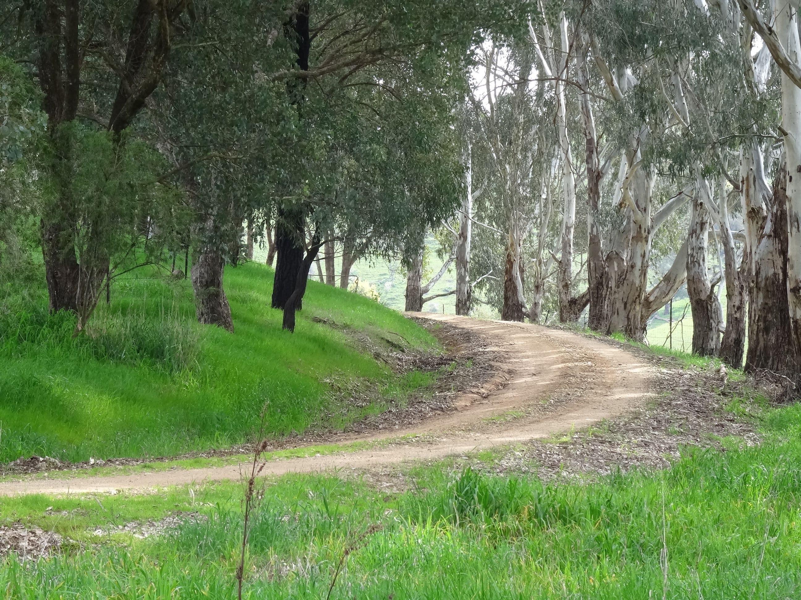 1916 Georges Creek Road, Tallangatta VIC 3700, Tallangatta - Thumbnail 5