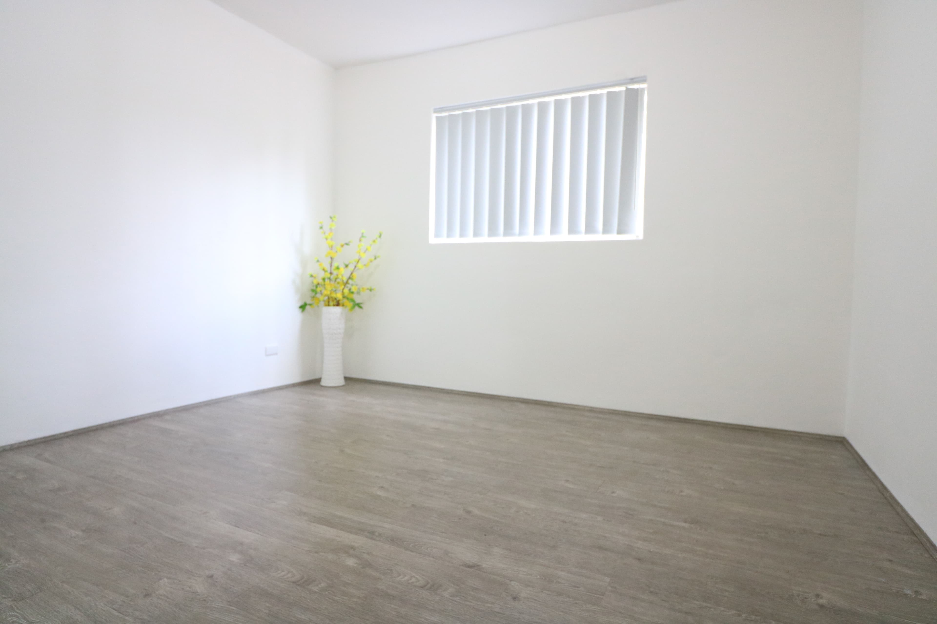 55 Bartley Street, Canley Vale NSW 2166, Canley Vale - Thumbnail 2