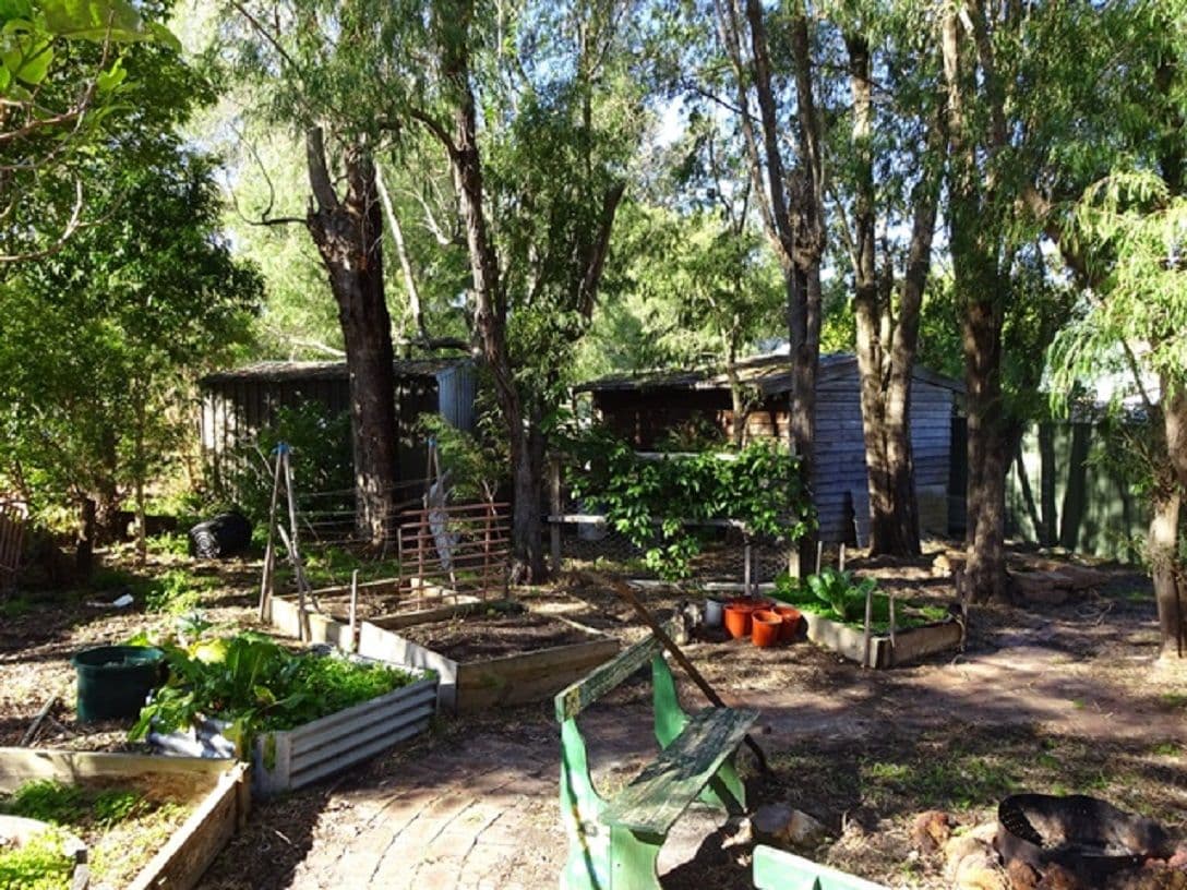 338 Station Street, Carlton North VIC 3054, Carlton North - Thumbnail 5
